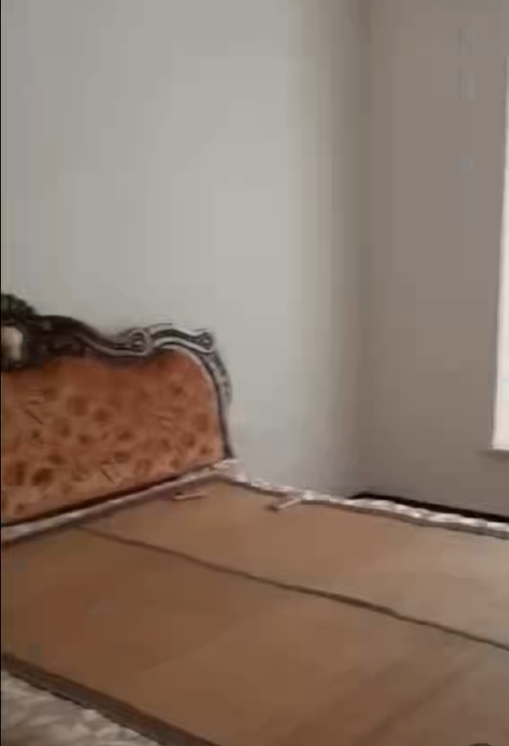 桃花里  3室2厅1卫    1500.0元/月室内图