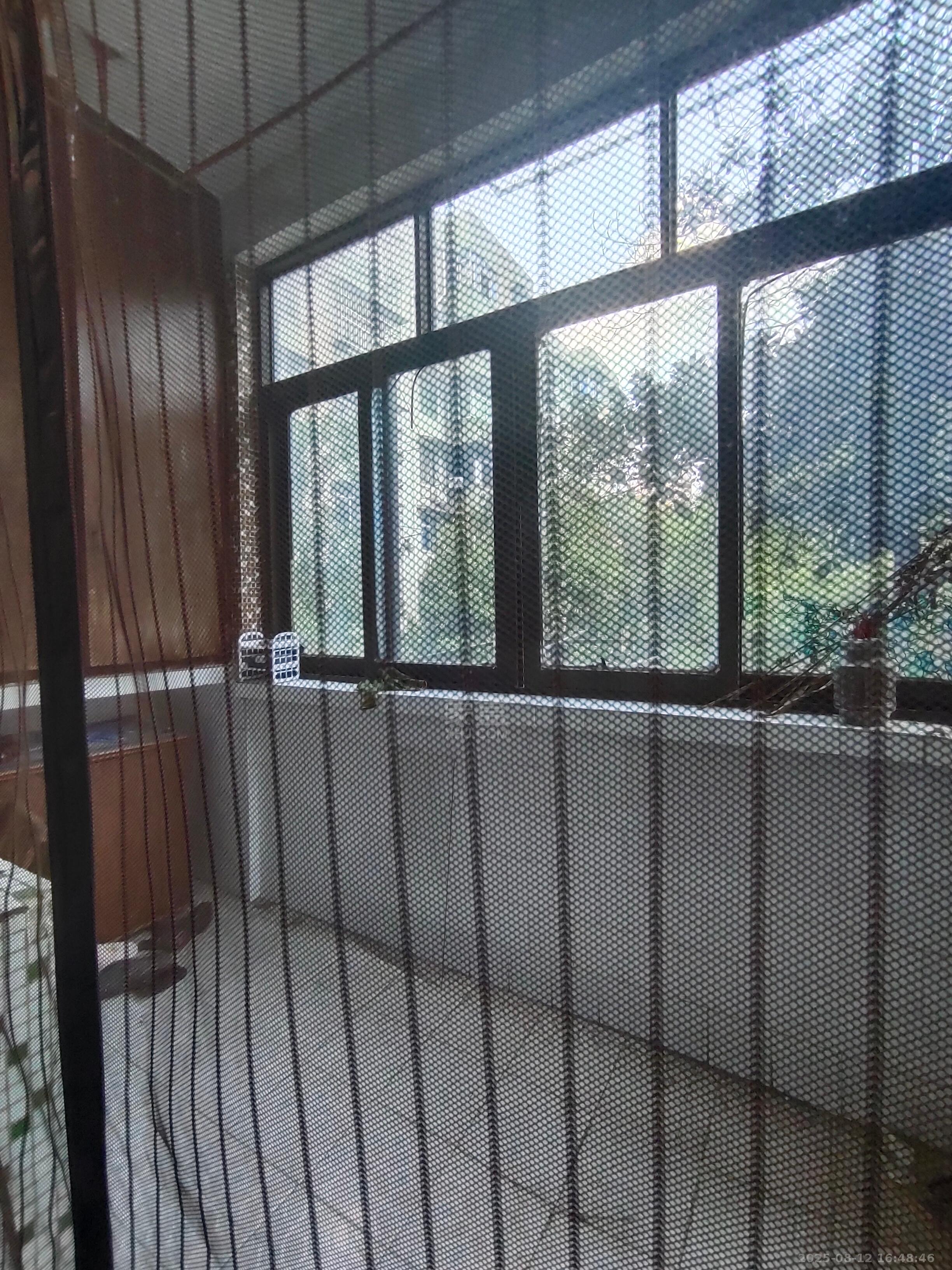 环保局宿舍纺织路27号  2室2厅1卫    600.0元/月 环保局宿舍纺织路27号  2室2厅1卫    600.0元/月室内图