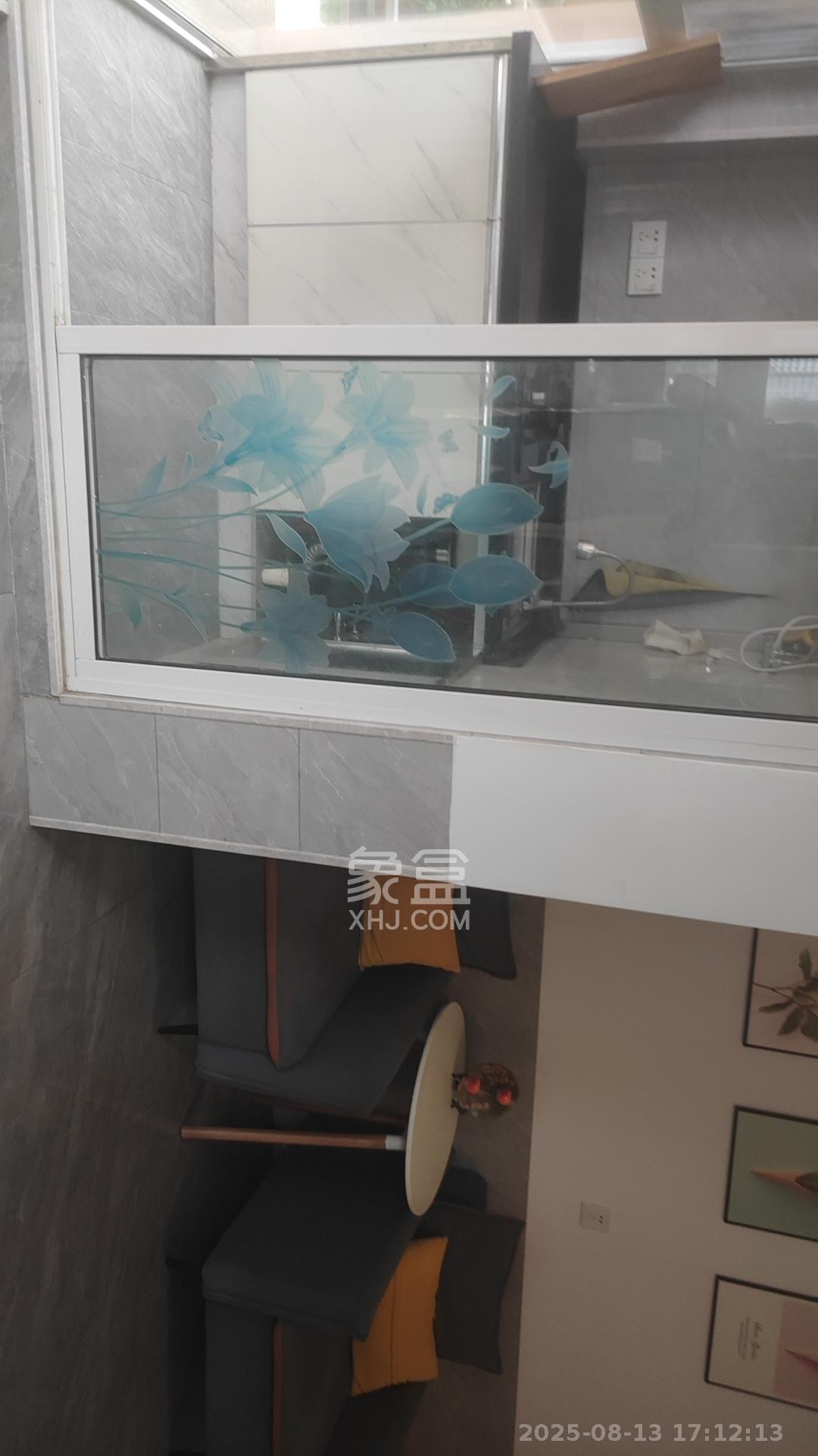 华龙家园（和泰家园）  1室0厅0卫    1380.0元/月室内图