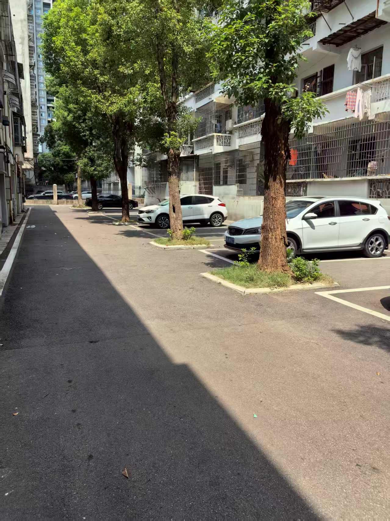 冶金局小区  2室1厅1卫   25.00万客厅