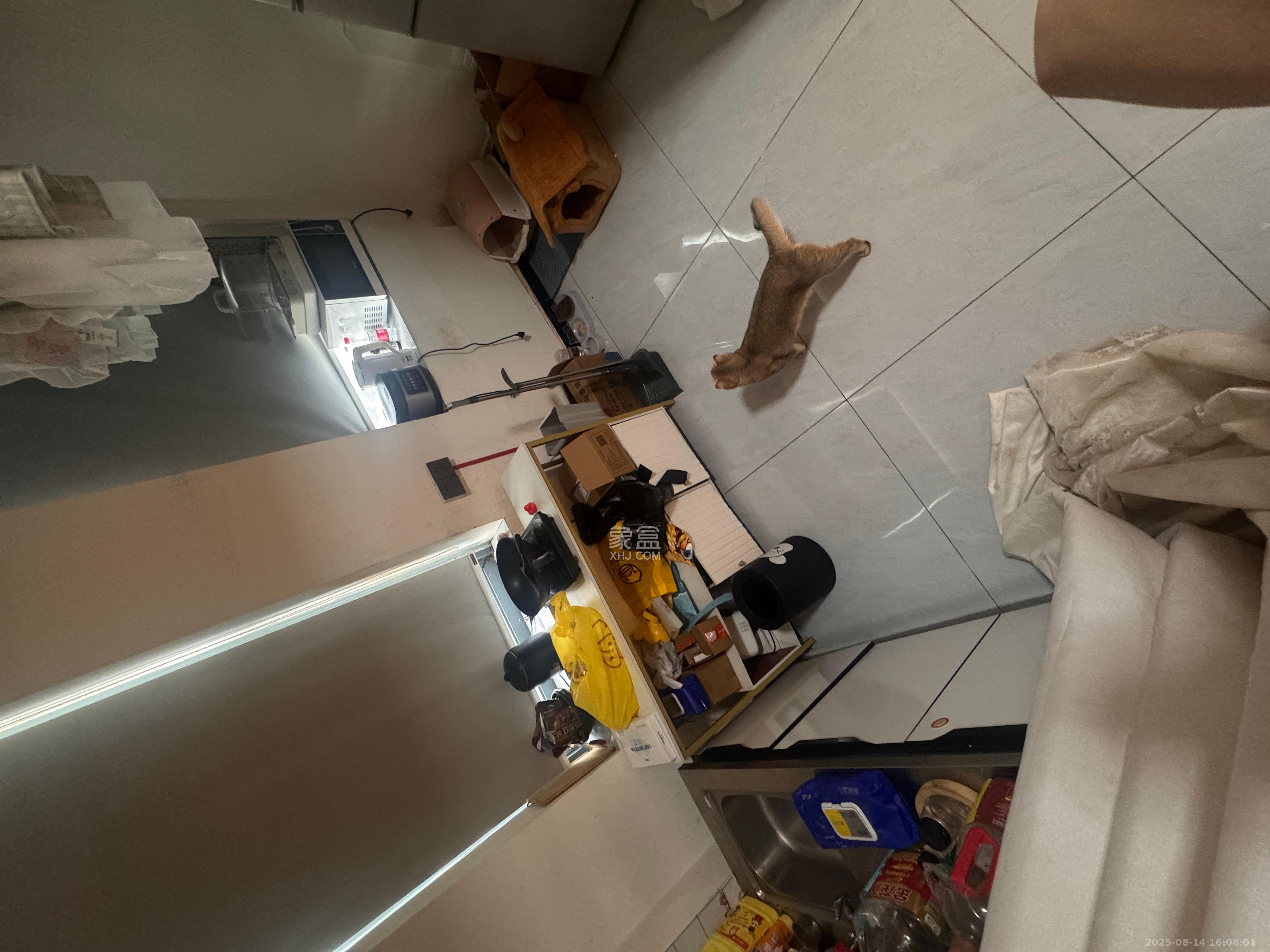 江南华府  1室1厅1卫    1500.0元/月室内图