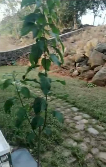 群榜村282号别墅 8室2厅3卫 6000.0元/月 群榜村282号别墅 8室2厅3卫 6000.0元/月室内图