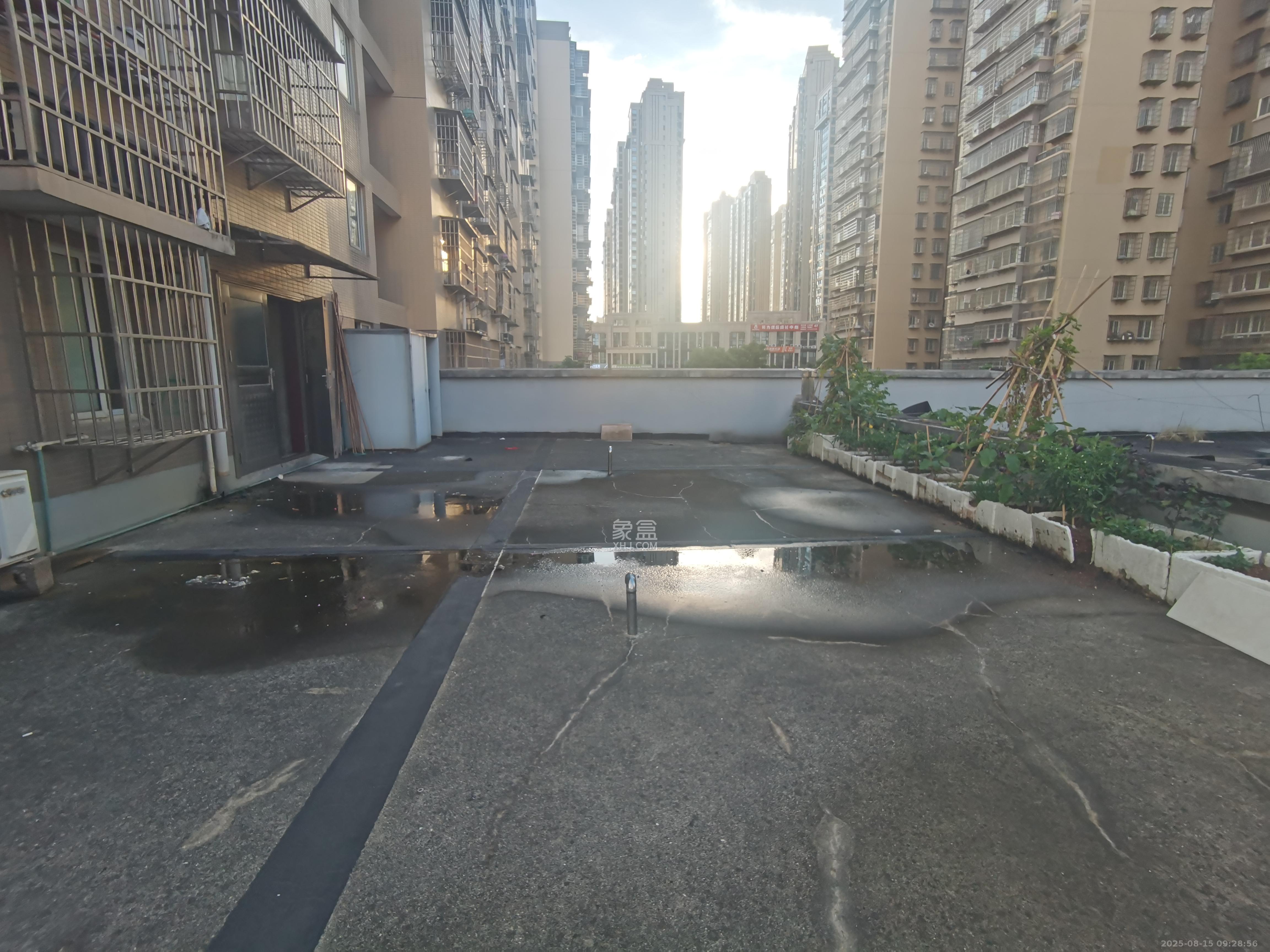星城新宇黎锦苑  3室2厅1卫    1700.0元/月室内图