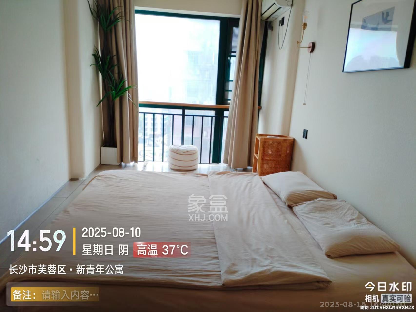 新青年公寓  1室1厅1卫   2500.00元/月室内图1