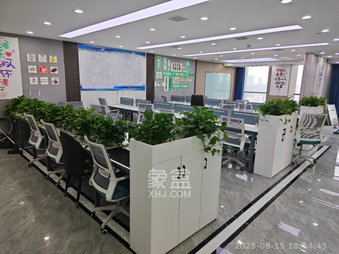 宇成朝阳广场  1室0厅0卫   10000.00元/月室内图