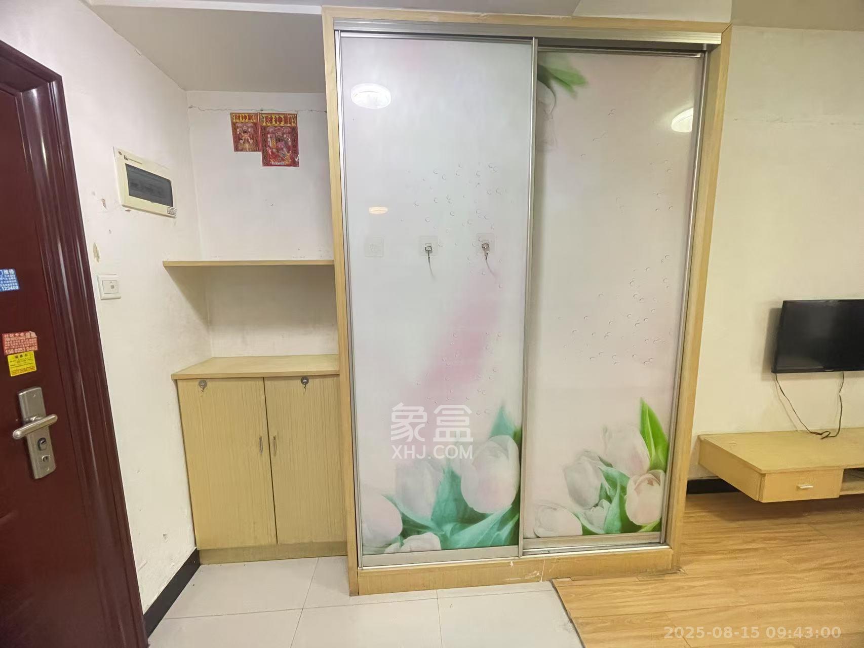 观湖公寓  1室1厅1卫   1300.00元/月