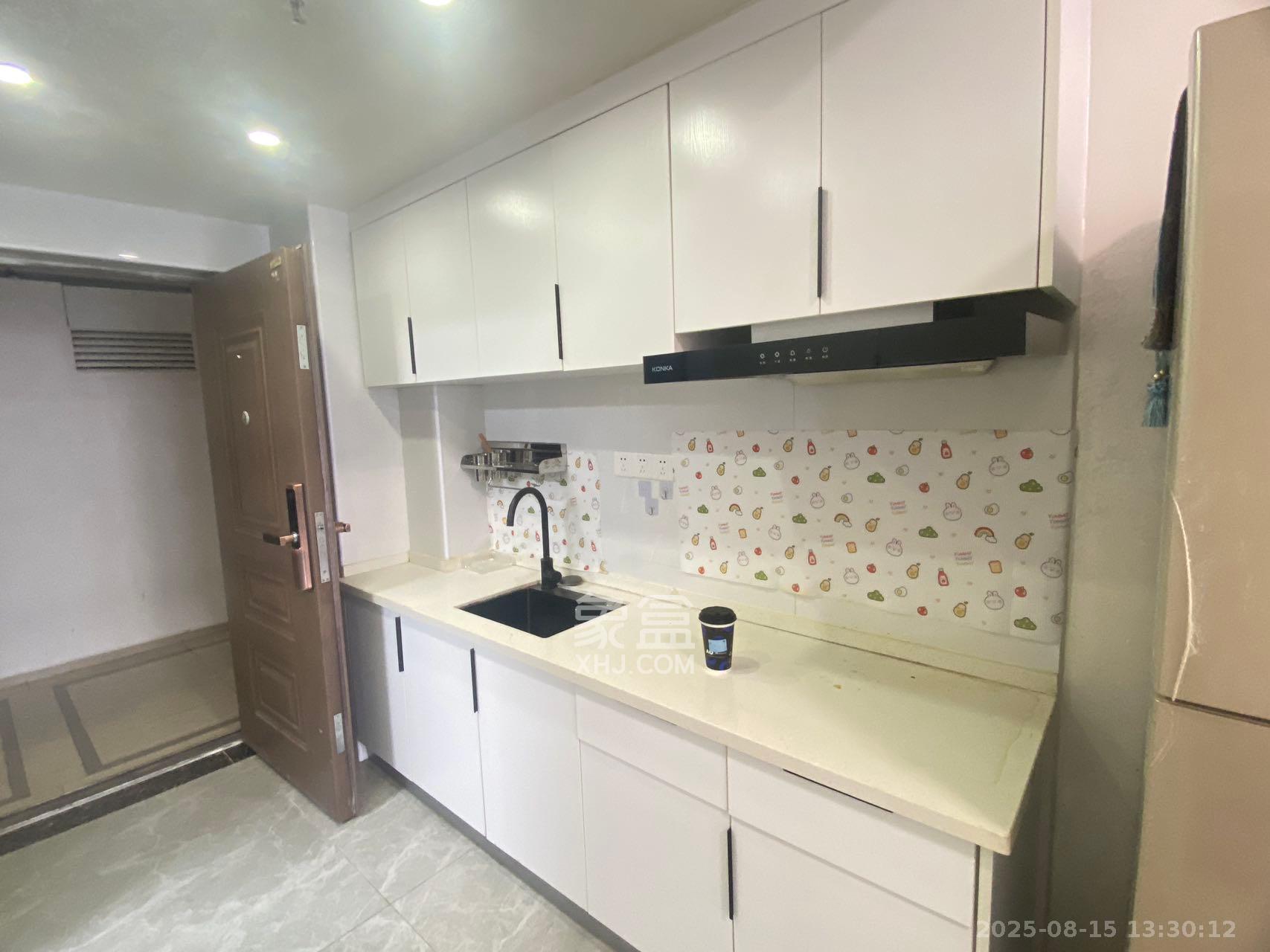 奥克斯滨仕花园（奥克斯洋湖广场/奥克斯中心）  1室0厅0卫    2000.0元/月室内图