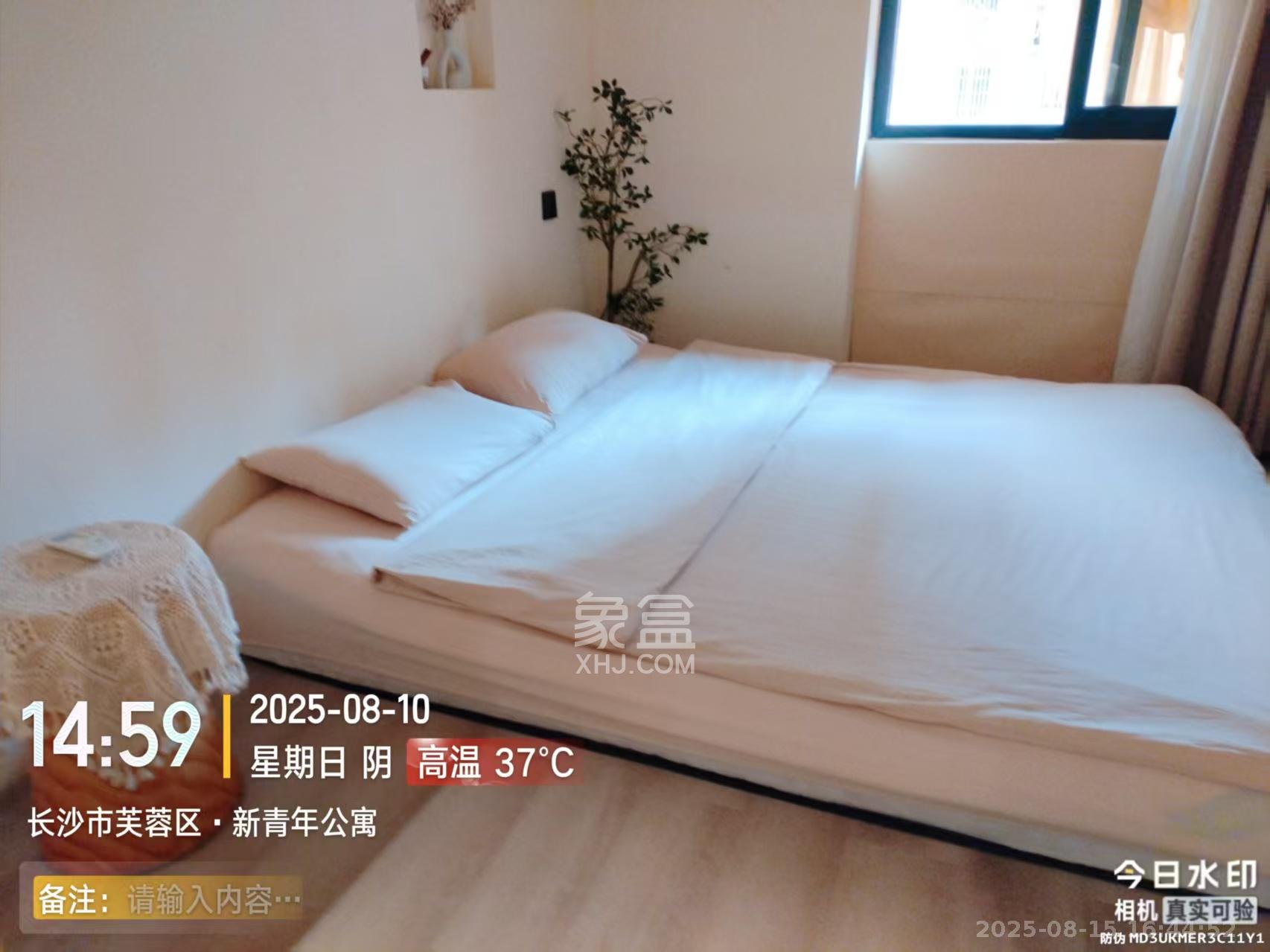 新青年公寓  1室1厅1卫   2500.00元/月室内图