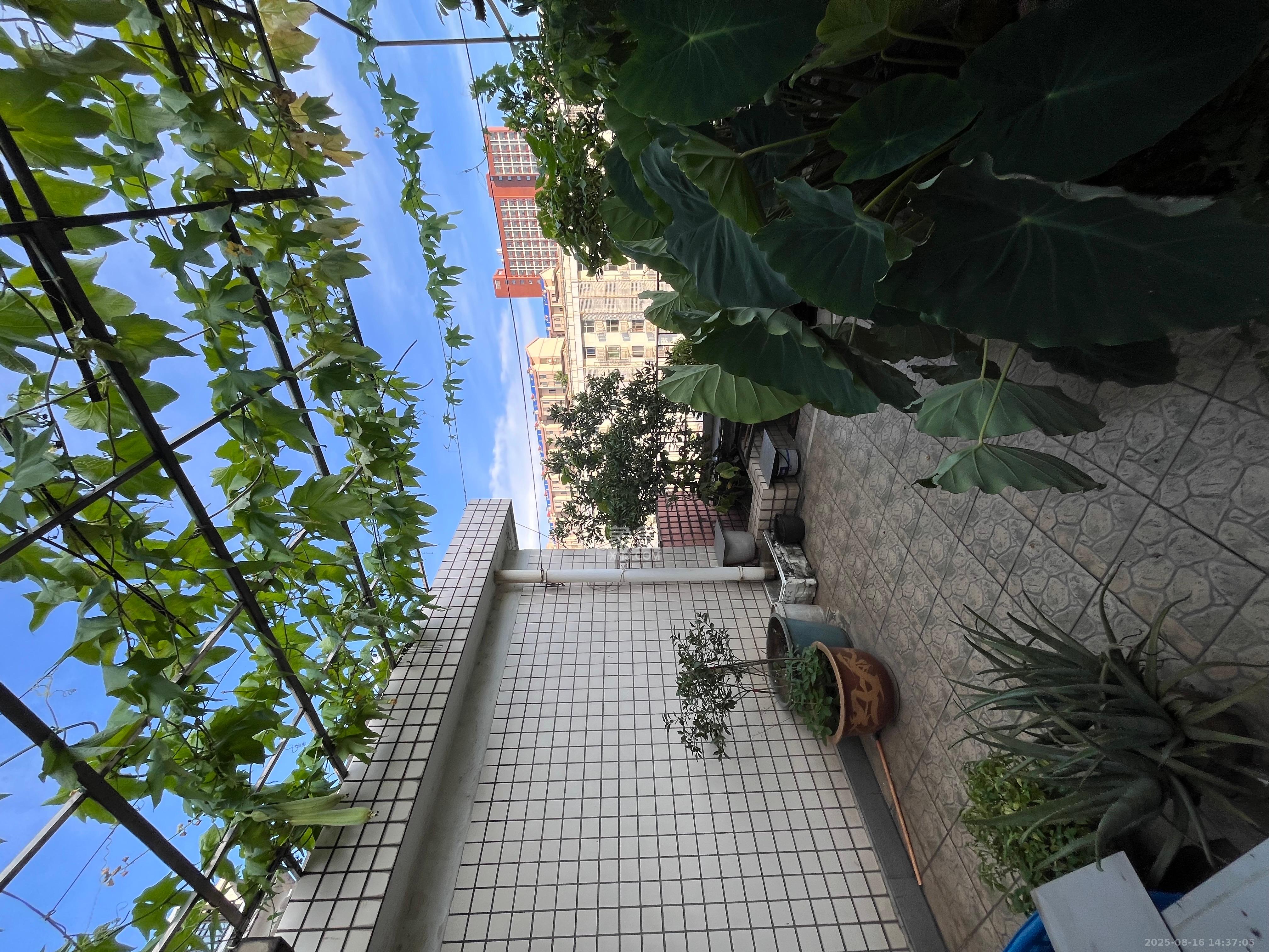 森宇佳园  4室3厅2卫    3000.0元/月室内图