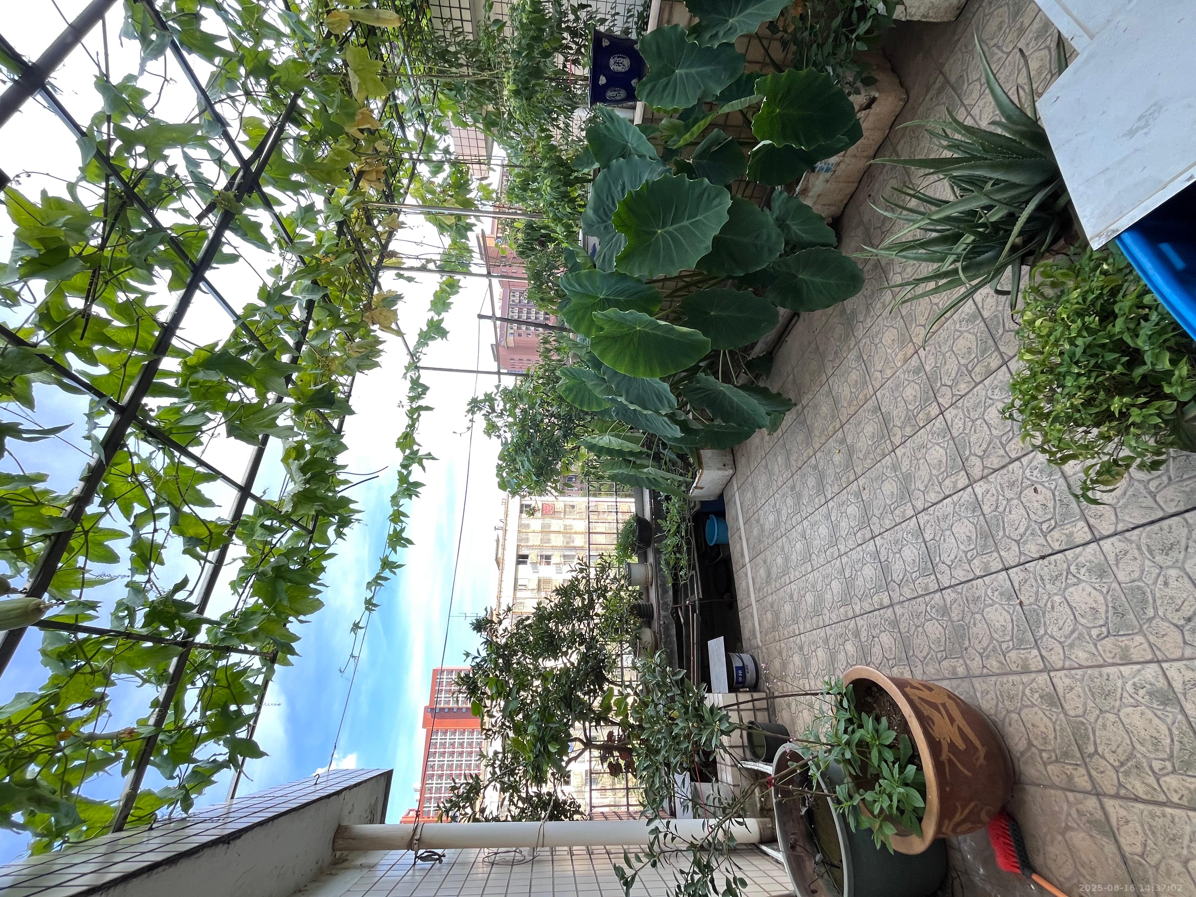 森宇佳园 4室3厅2卫 3000.0元/月 森宇佳园 4室3厅2卫 3000.0元/月室内图