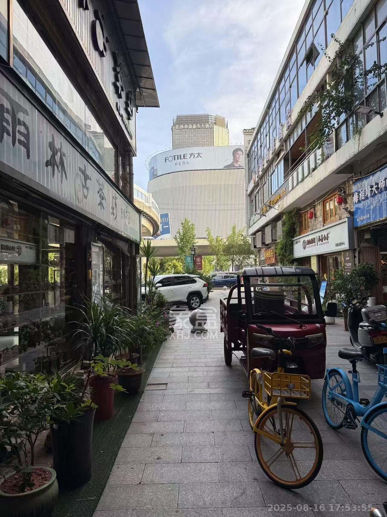 高桥茶叶市场（万家丽路）   43.14㎡     4000.00元/月室内图