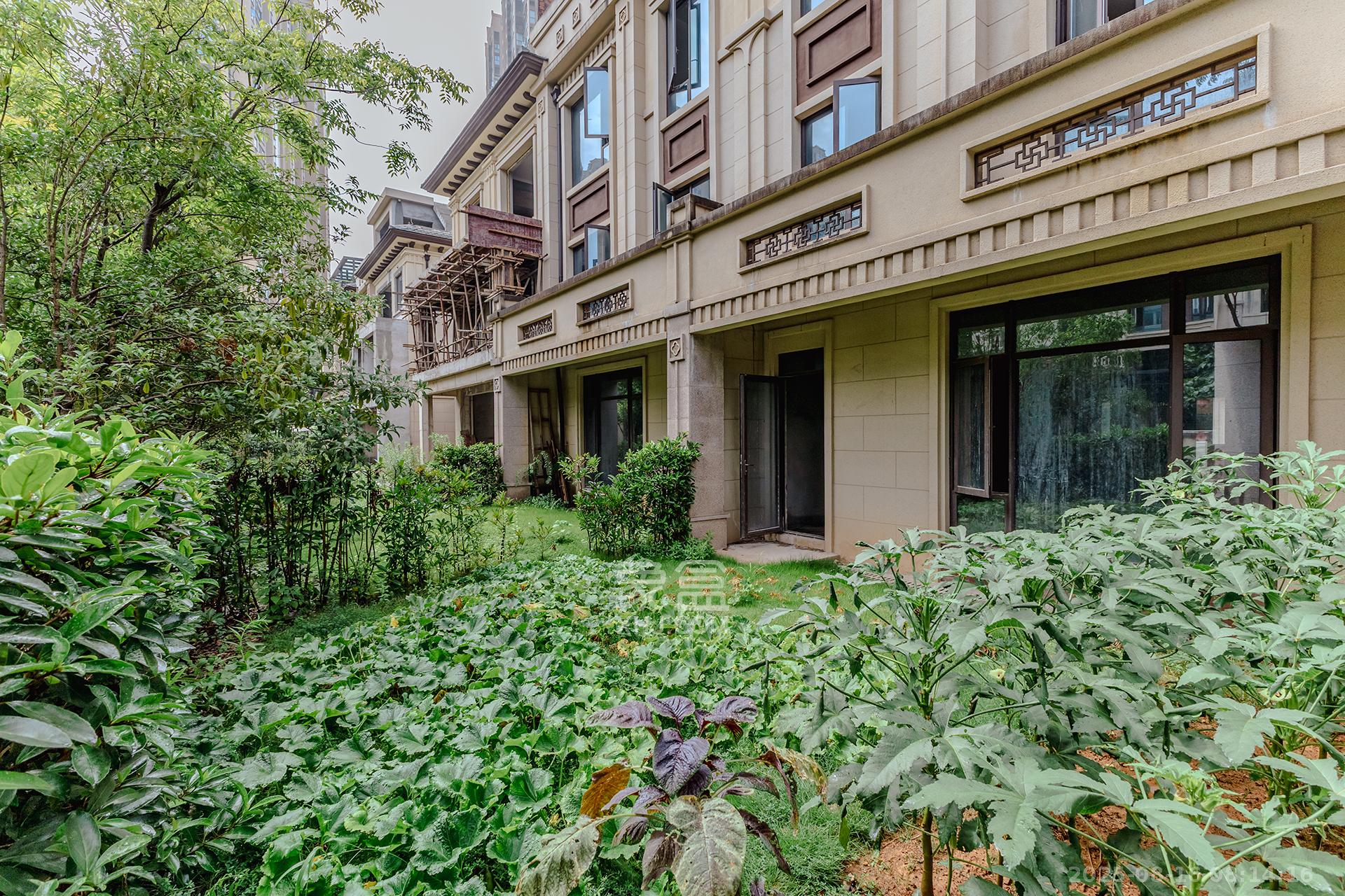 龙湖璟宸原著（龙湖紫宸）  6室2厅4卫    360.0万其他