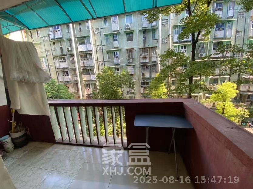 红旗区三片 1室1厅1卫 1100.0元/月 红旗区三片 1室1厅1卫 1100.0元/月室内图