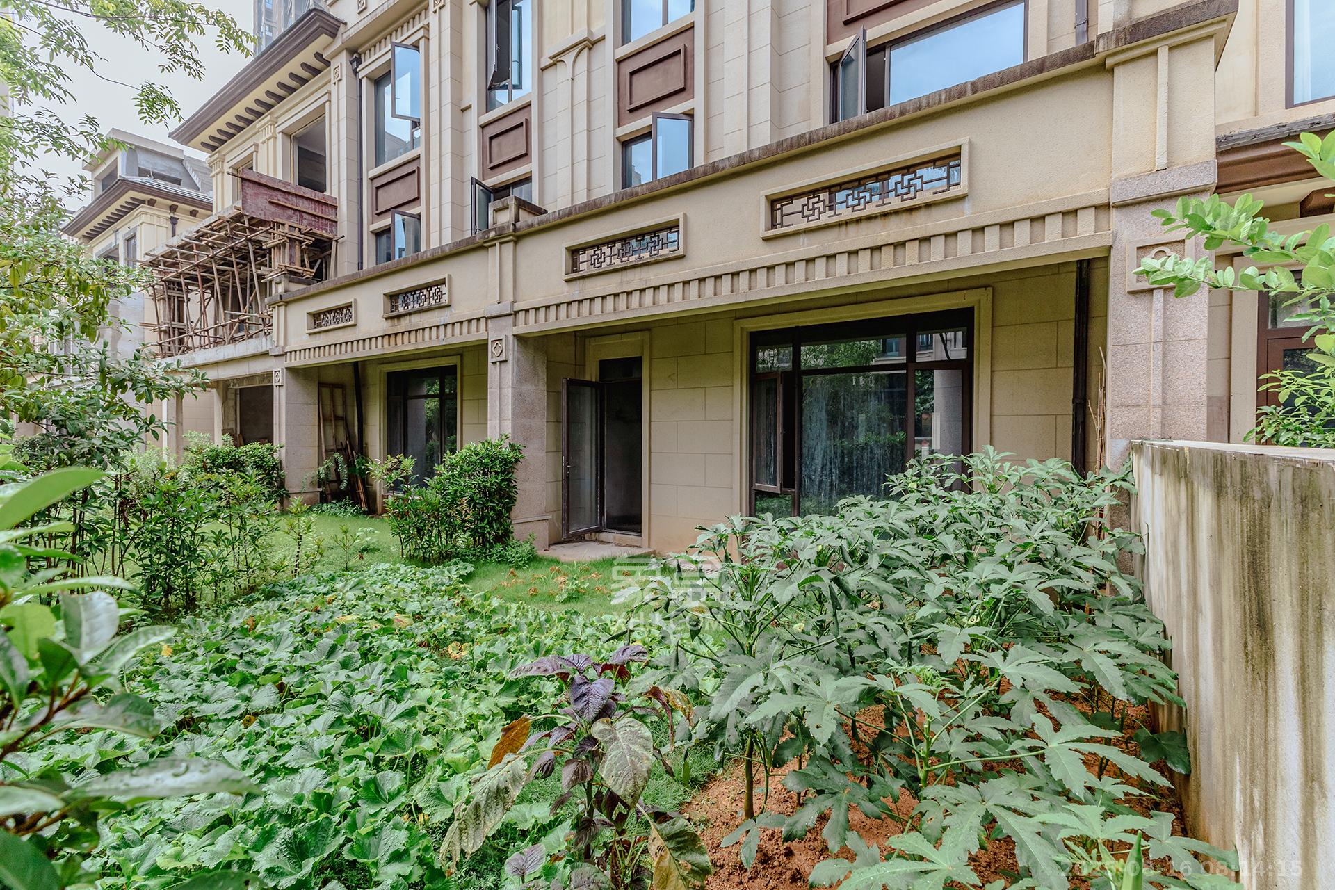 龙湖璟宸原著（龙湖紫宸）  6室2厅4卫    360.0万其他