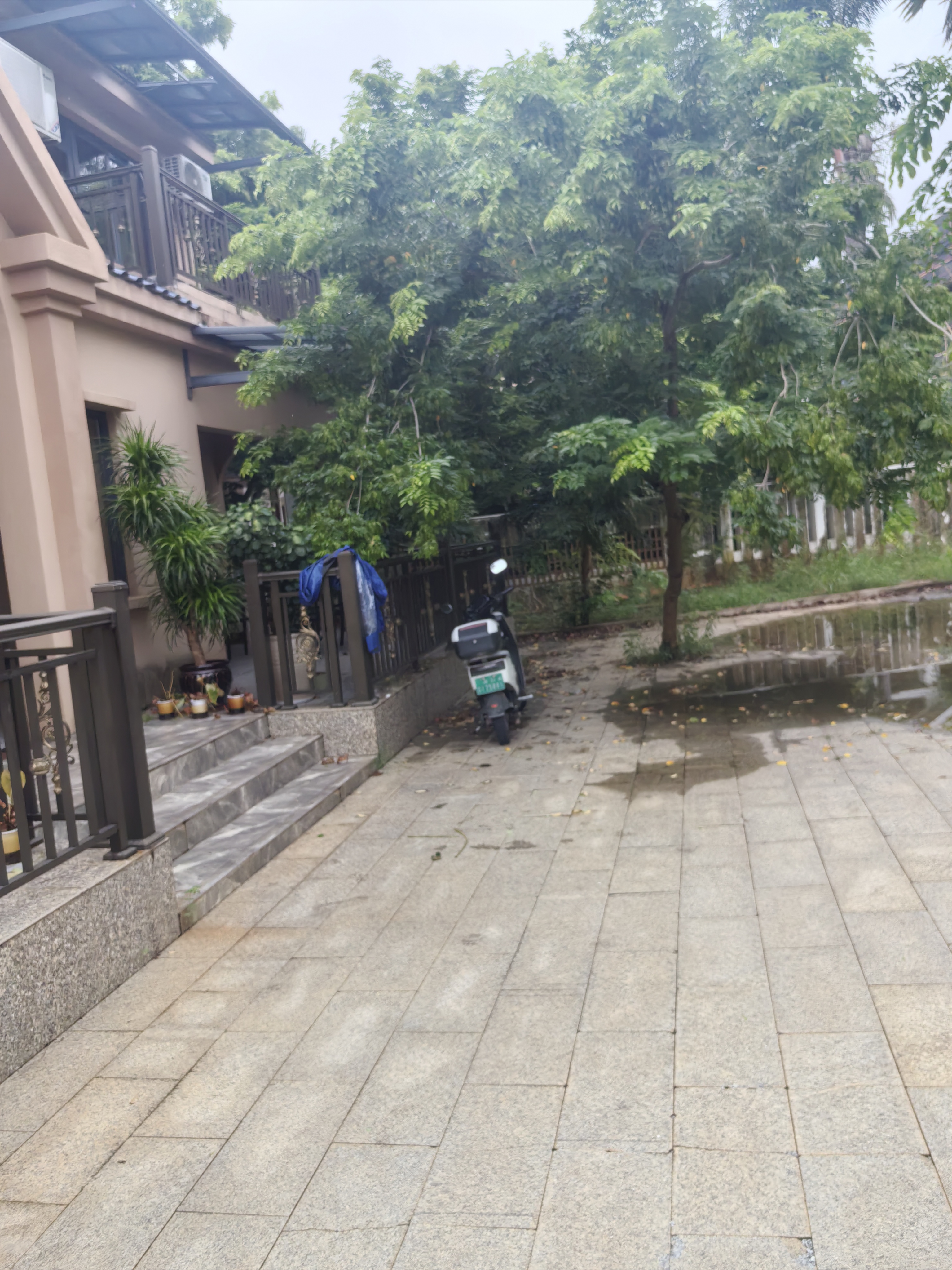 西湾别墅  8室3厅2卫    20000.0元/月室内图