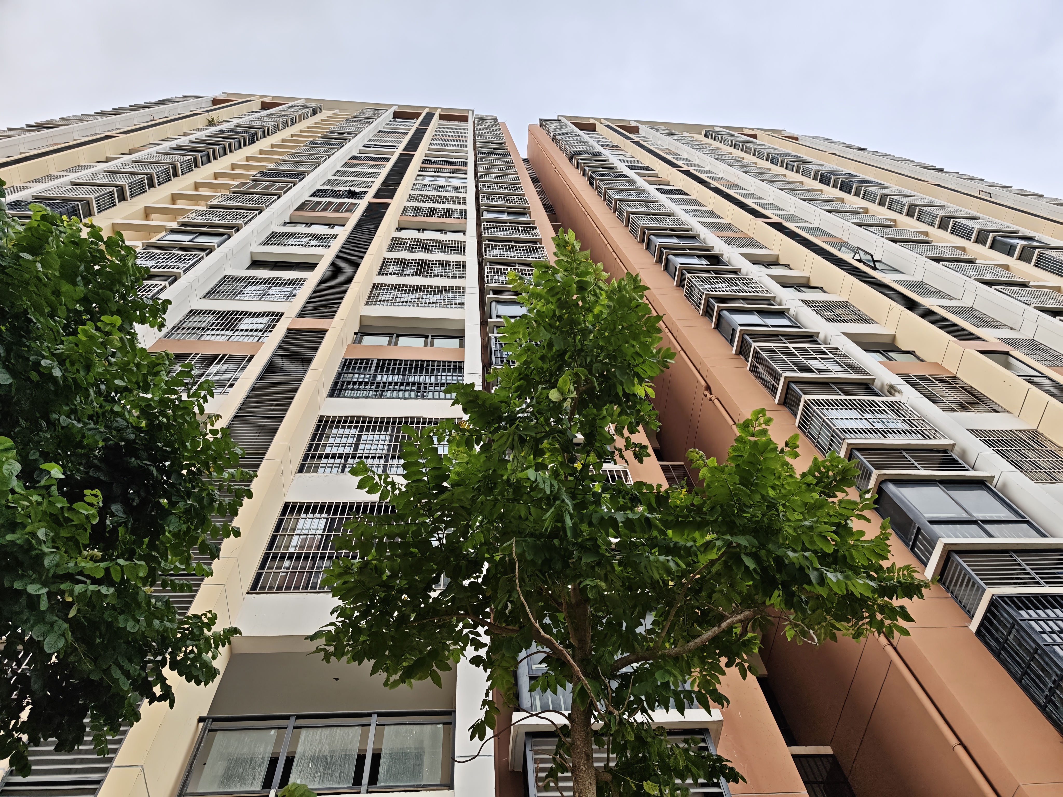 新大洲教师住宅小区 2室1厅1卫 2000.0元/月 新大洲教师住宅小区 2室1厅1卫 2000.0元/月户型图