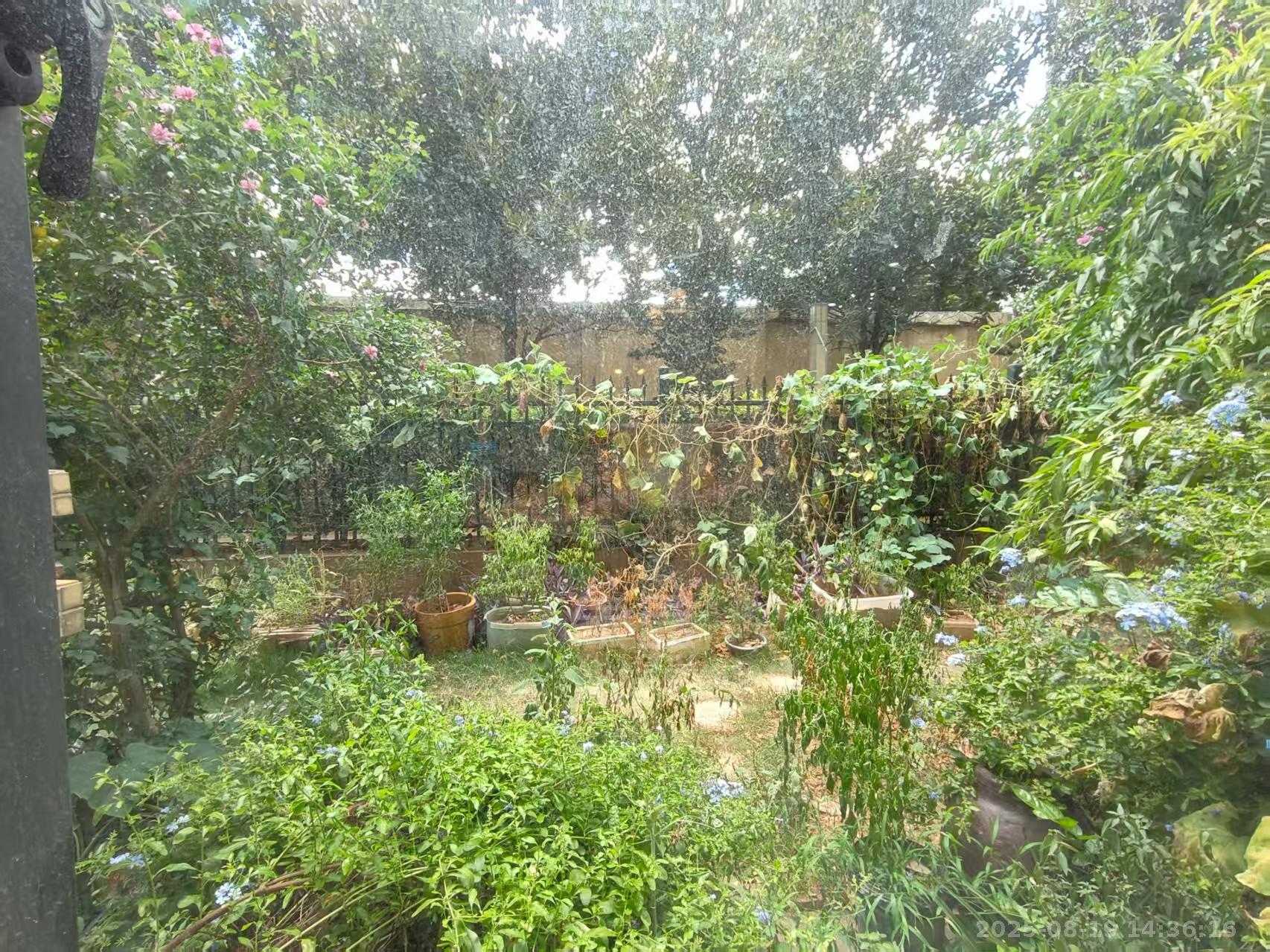 奥园广场 3室2厅2卫 2200.0元/月 奥园广场 3室2厅2卫 2200.0元/月小区图