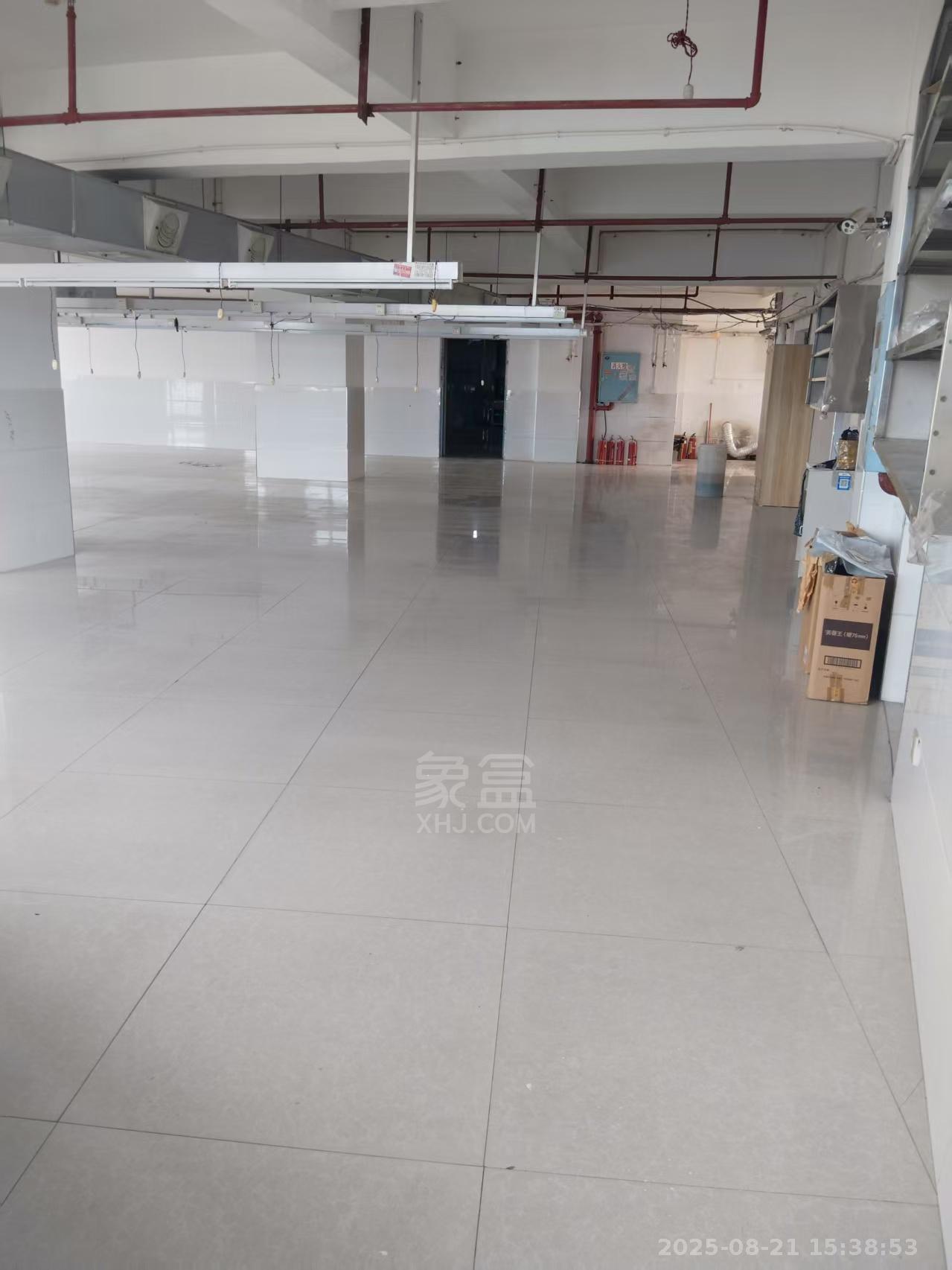 芦淞服装都市工业园  6室3厅4卫    7000.0元/月室内图