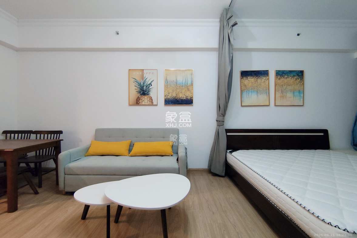 碧桂园星城首府 1室1厅1卫 1350.0元/月 碧桂园星城首府 1室1厅1卫 1350.0元/月室内图