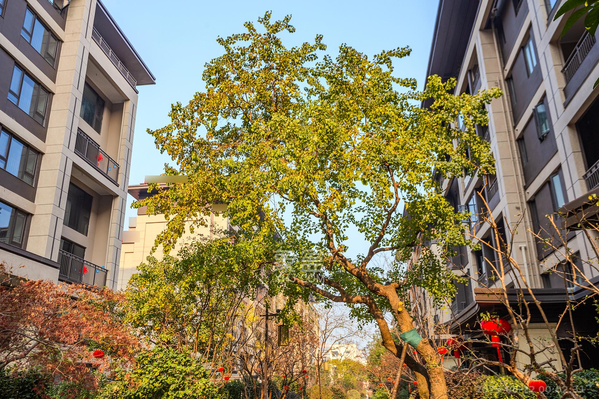 时代建发和著  6室2厅4卫    488.0万 时代建发和著  6室2厅4卫    488.0万其他