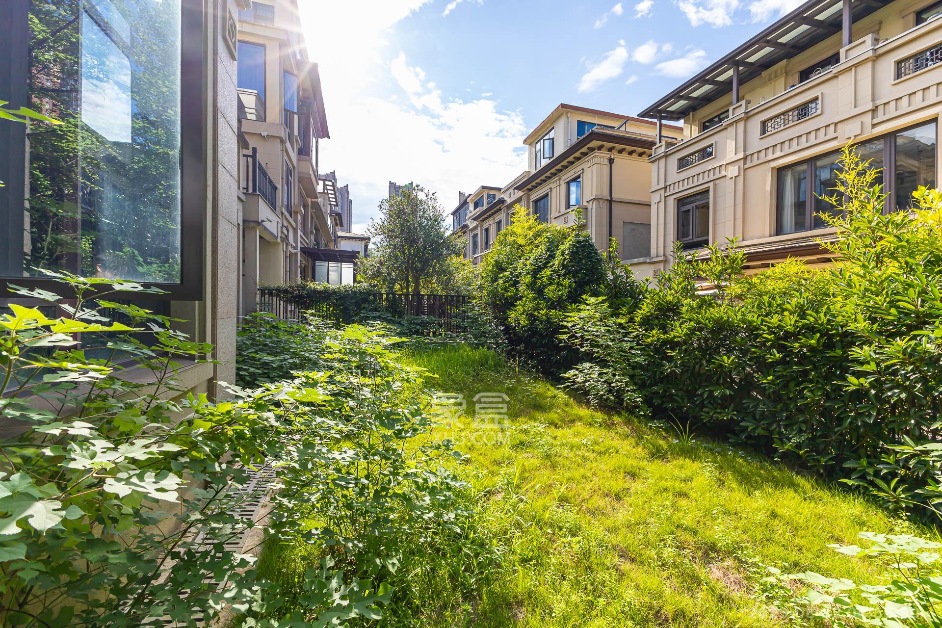 龙湖璟宸原著（龙湖紫宸）  6室2厅4卫    680.0万其他