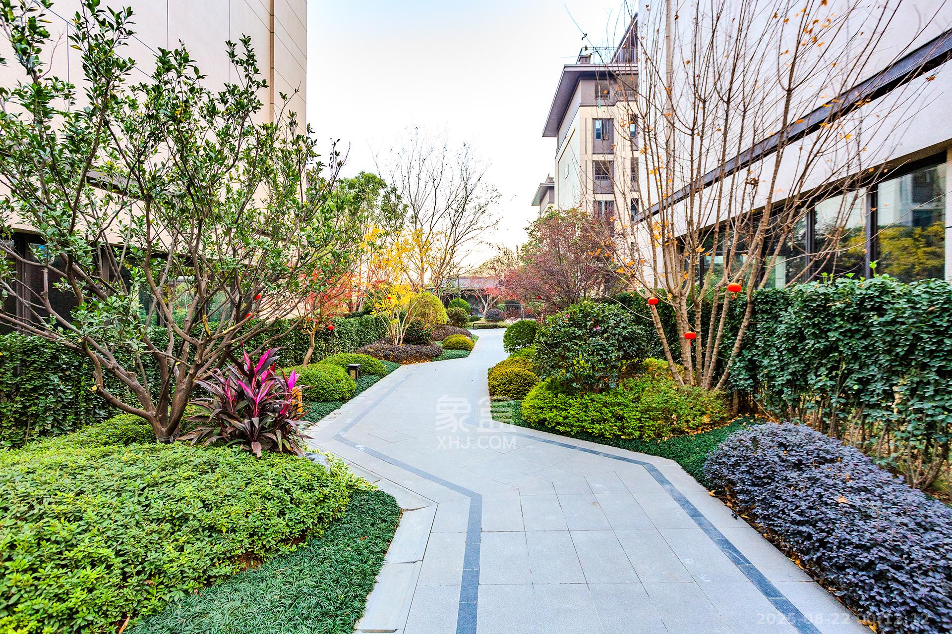 时代建发和著  6室2厅2卫    388.0万其他