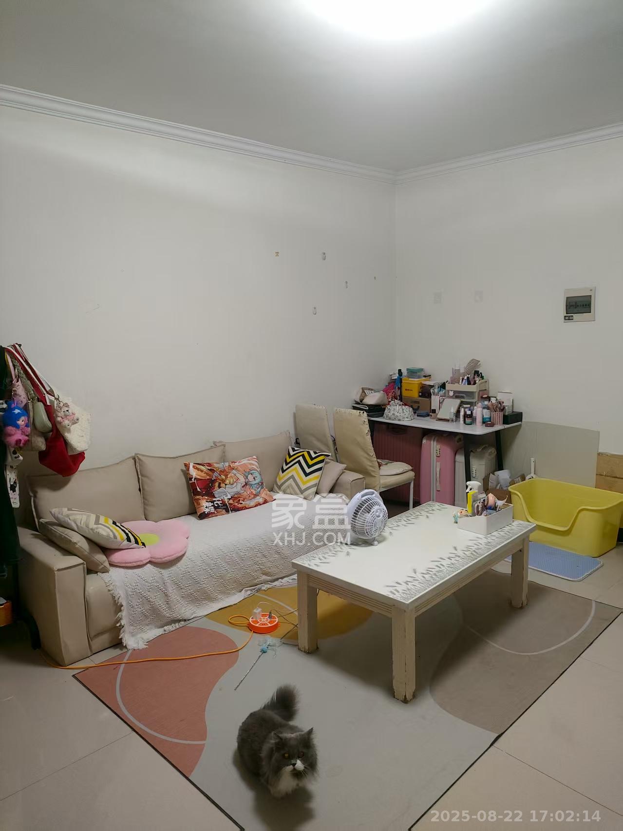 天下一家  1室1厅1卫   1700.00元/月室内图1