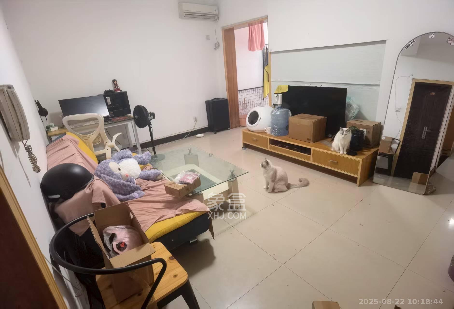 王府井公寓(福源公寓) 1室1厅1卫 1800.0元/月 王府井公寓(福源公寓) 1室1厅1卫 1800.0元/月室内图