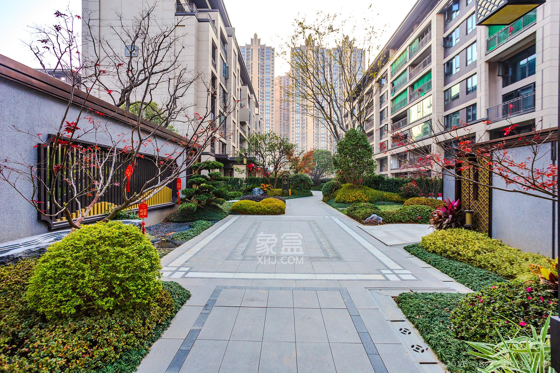 时代建发和著  6室2厅2卫    388.0万其他