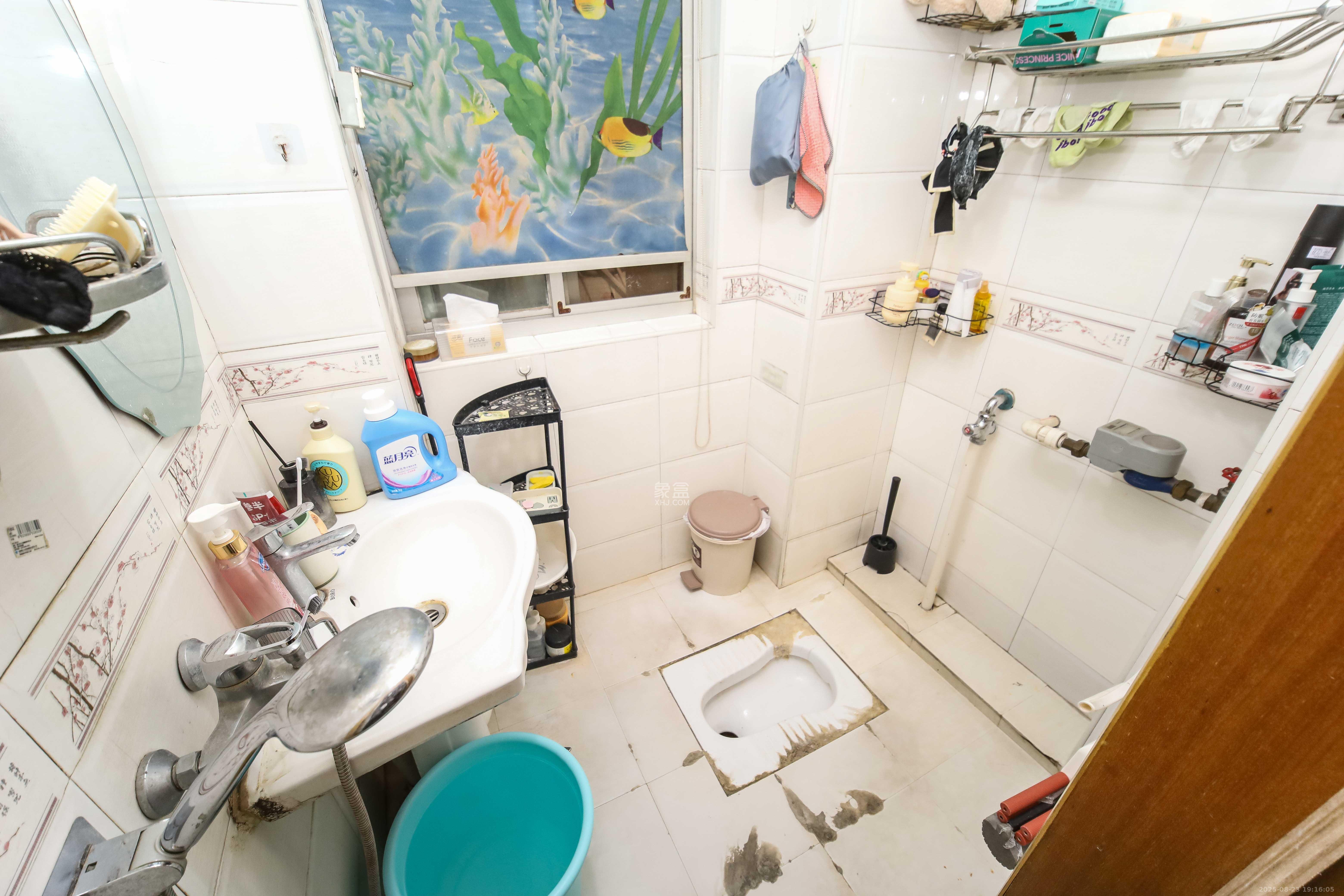 上河国际B座  2室1厅1卫    48.0万卫生间