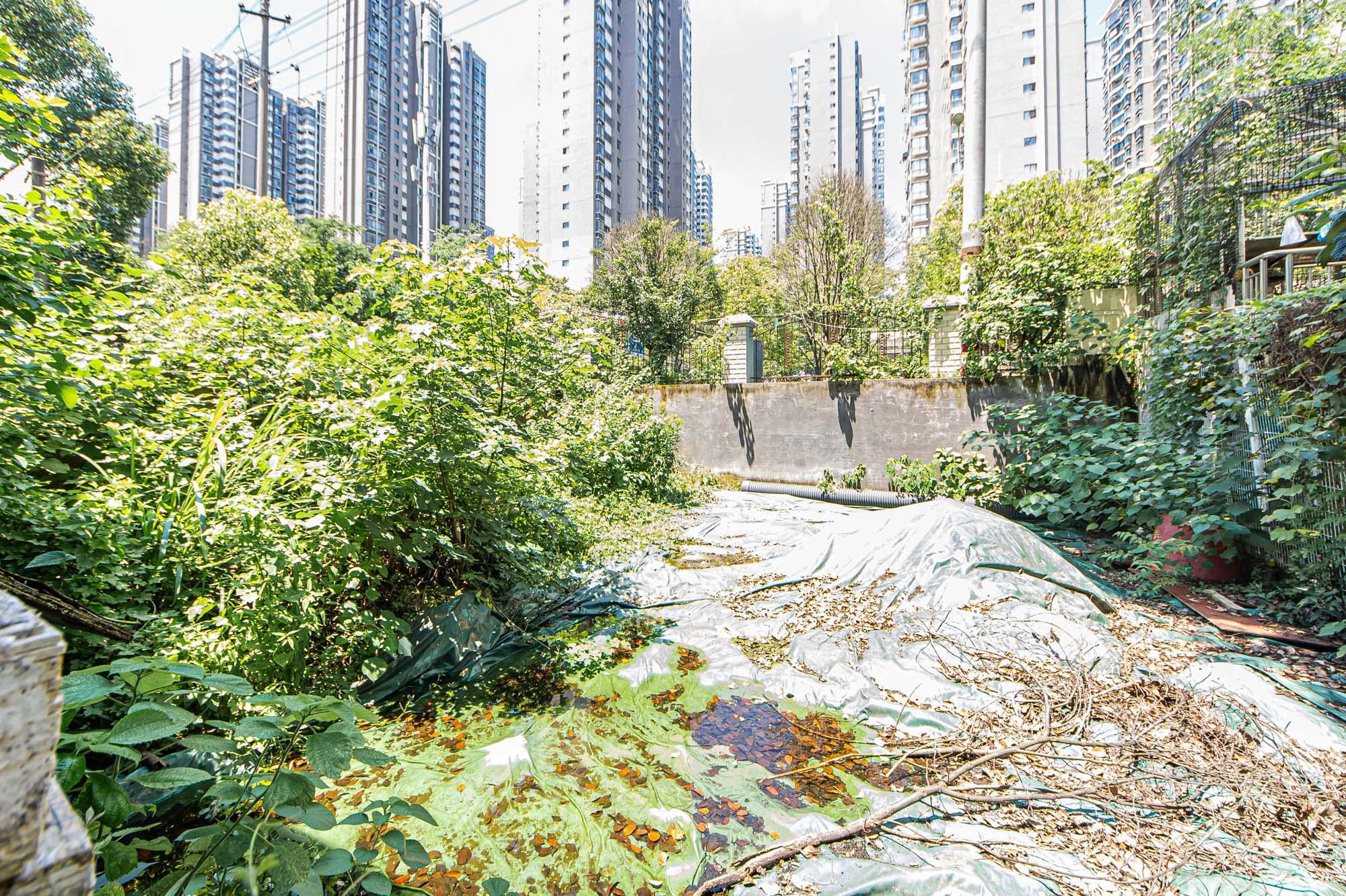 长泰豪园  5室3厅3卫    455.0万其他