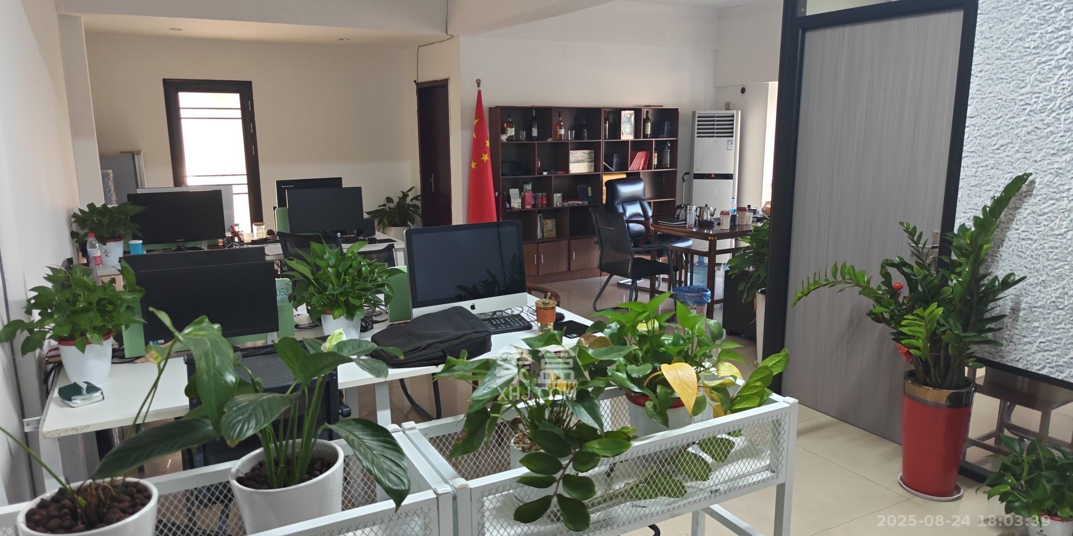 建安新商汇  3室1厅1卫    4300.0元/月室内图