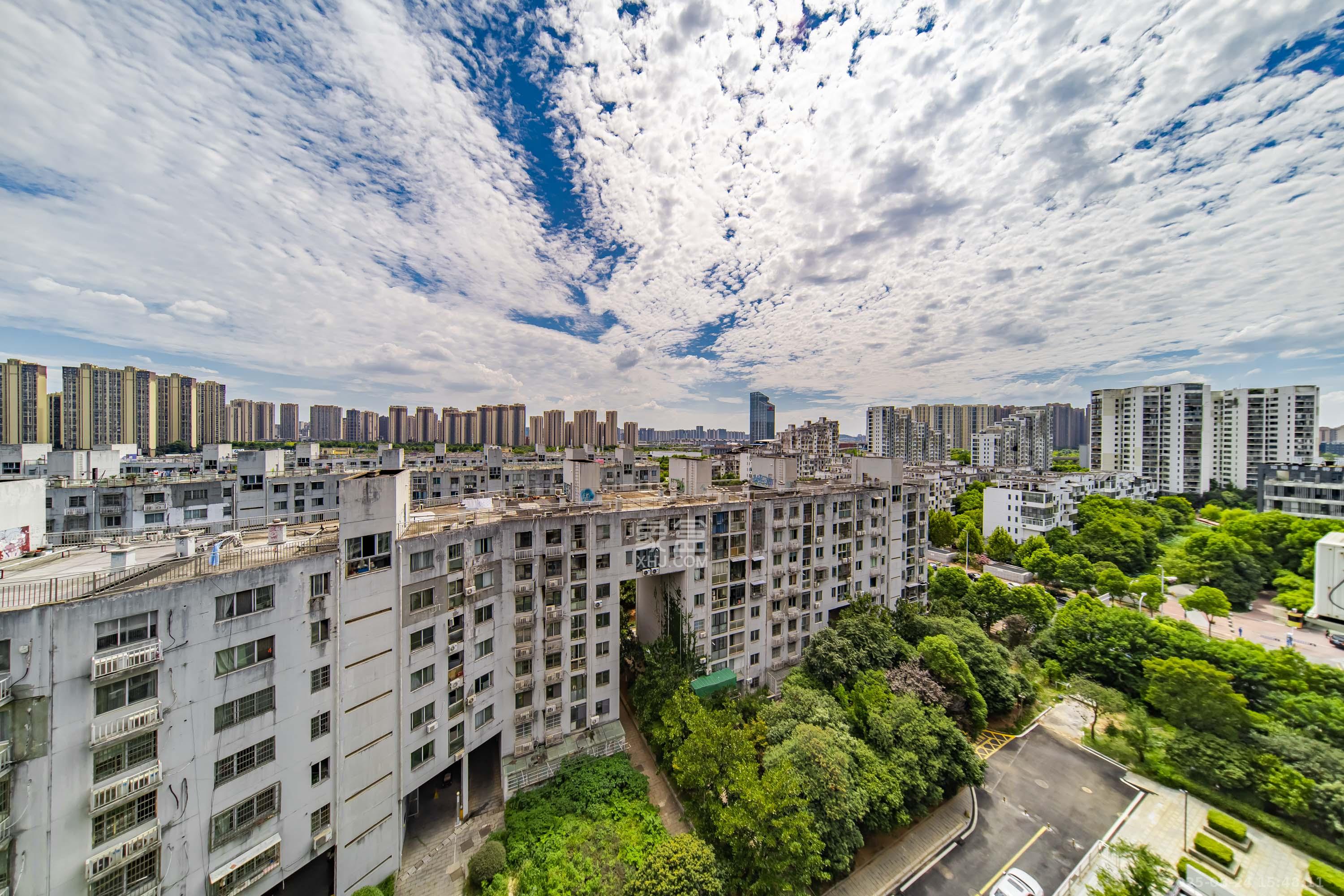 阳光100二期  1室2厅1卫   128.00万其他