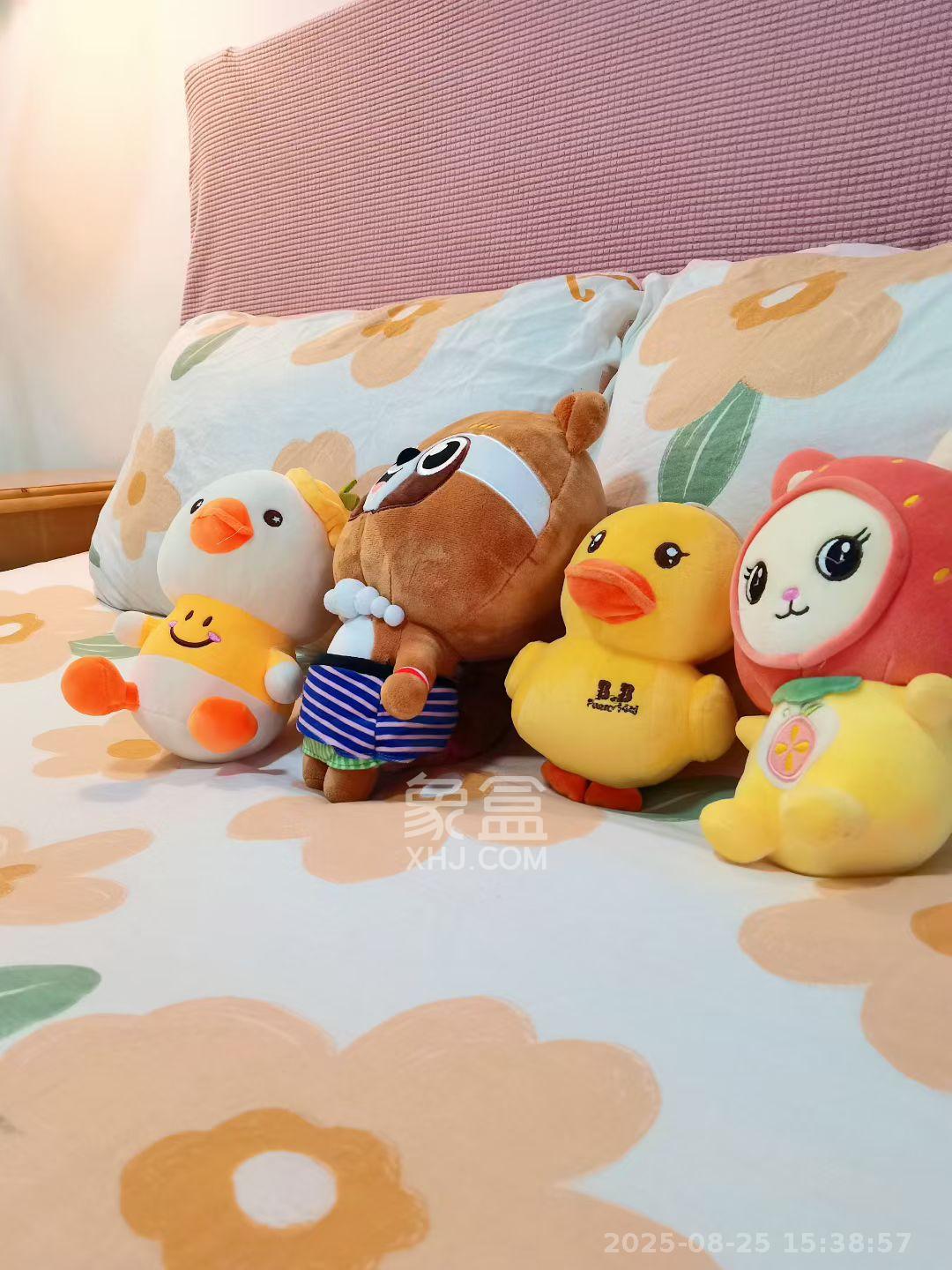 兰卡威国际  1室1厅1卫    1400.0元/月室内图