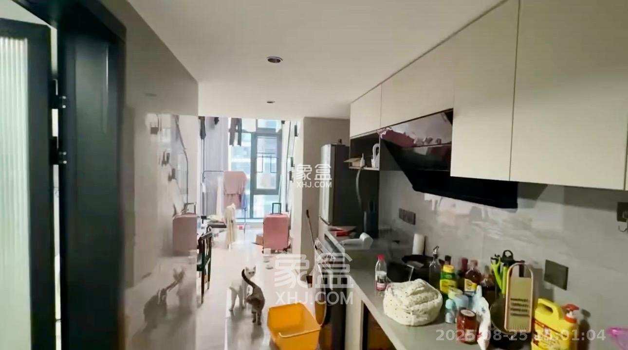 爱家当代境 1室1厅1卫 1700.0元/月 爱家当代境 1室1厅1卫 1700.0元/月室内图