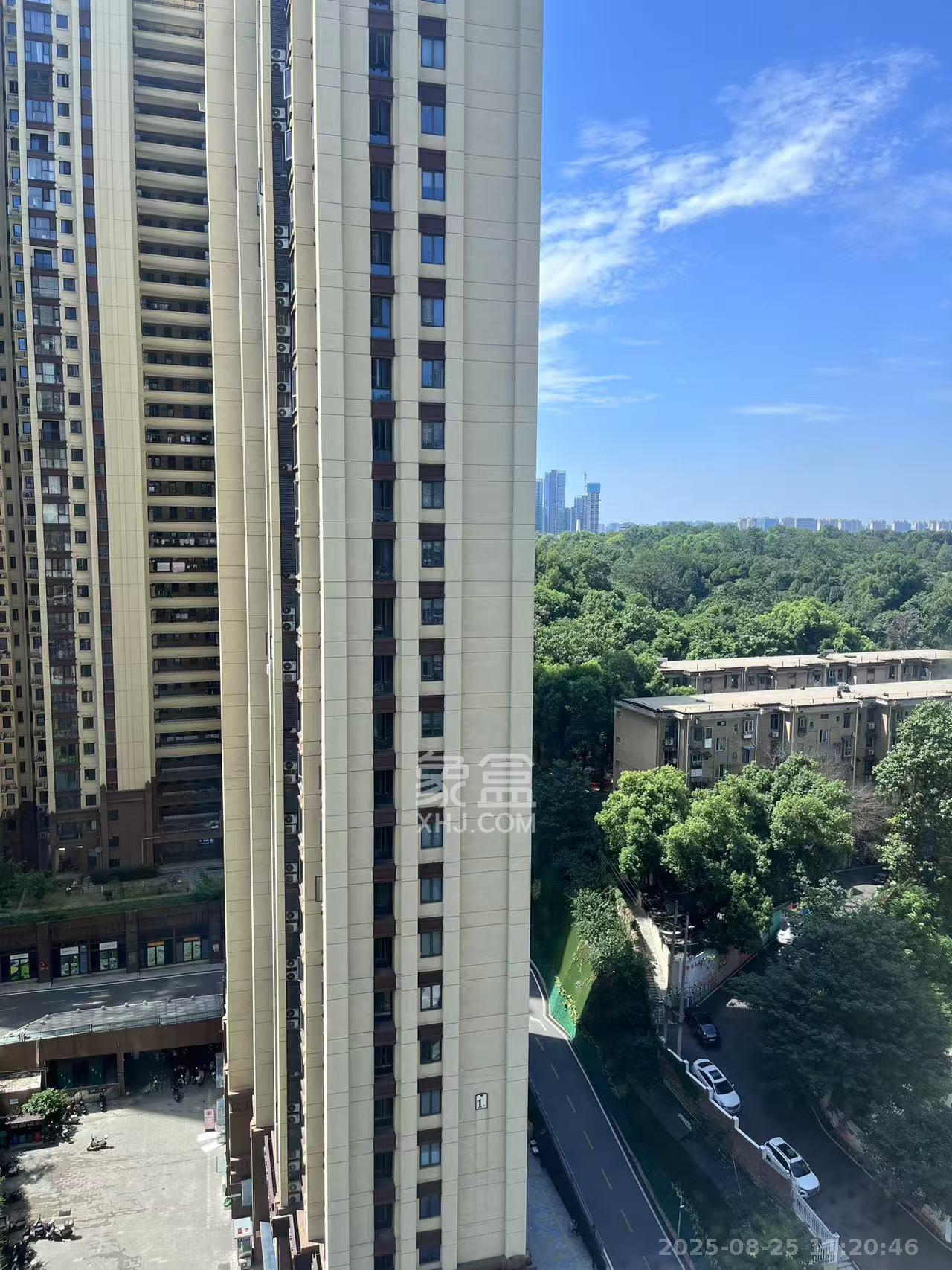 卓越江岸  2室1厅1卫    2000.0元/月 卓越江岸  2室1厅1卫    2000.0元/月室内图