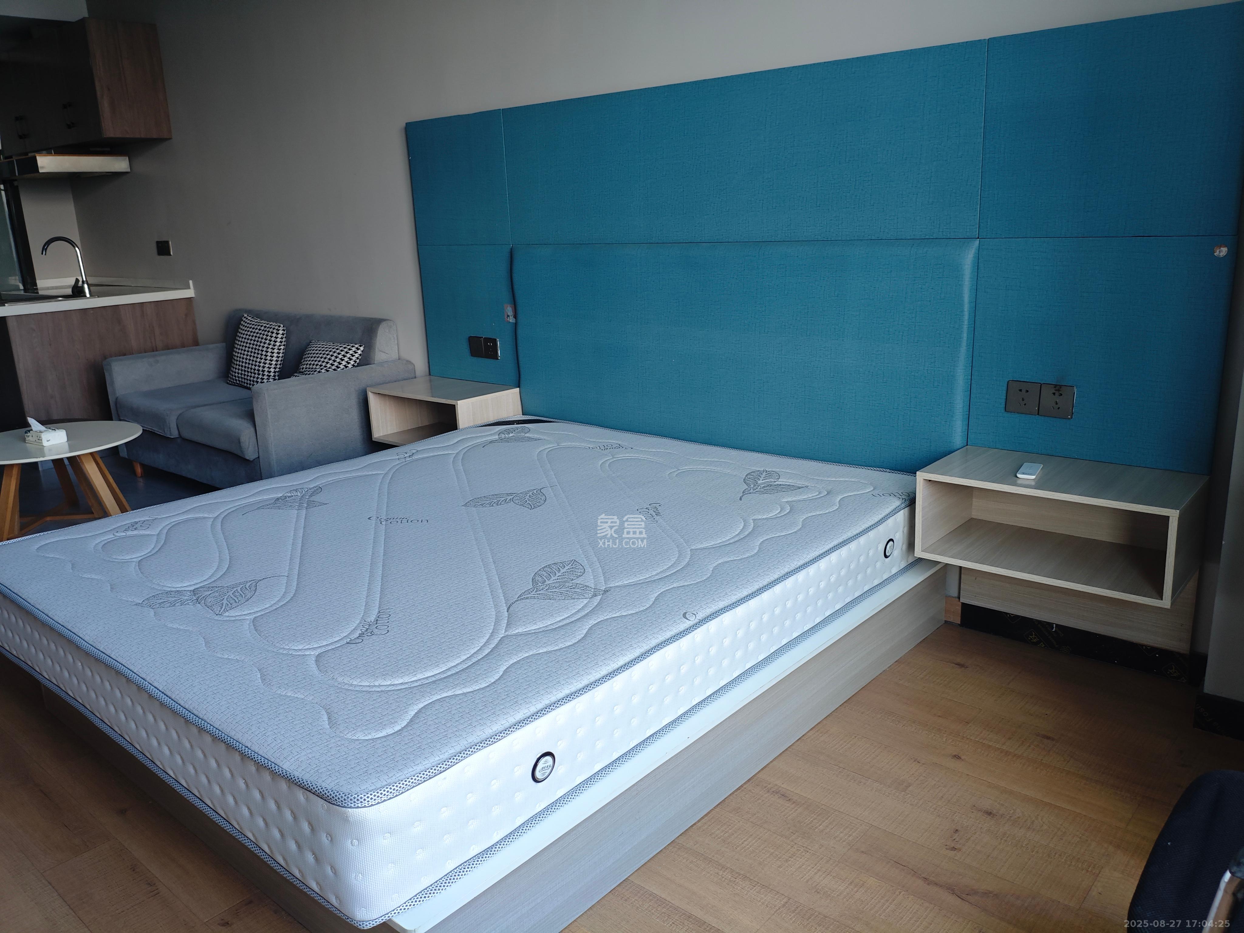 公园9号大都会  11室1厅1卫    2400.0元/月室内图