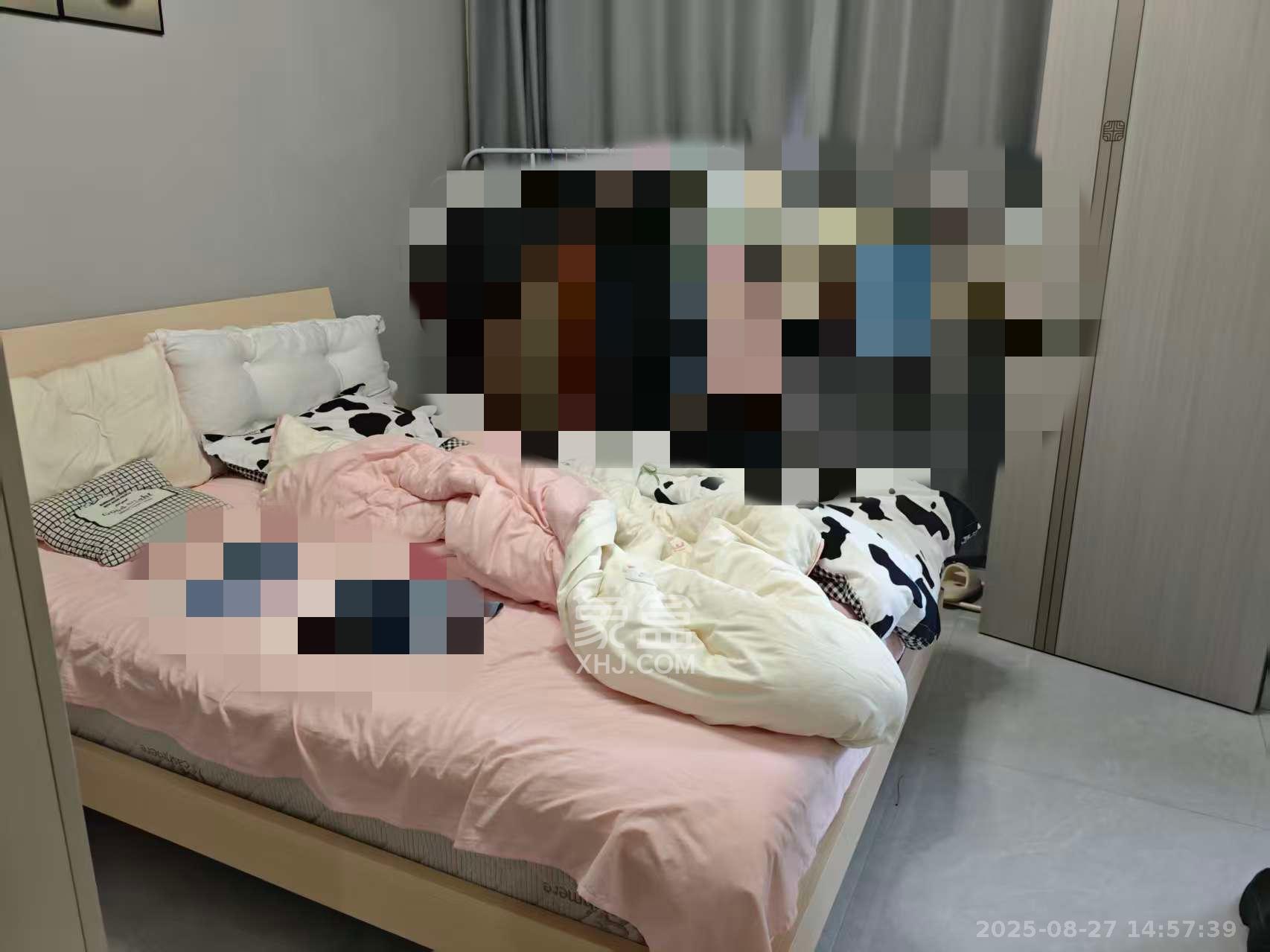 金塘家园  1室1厅1卫   1500.00元/月