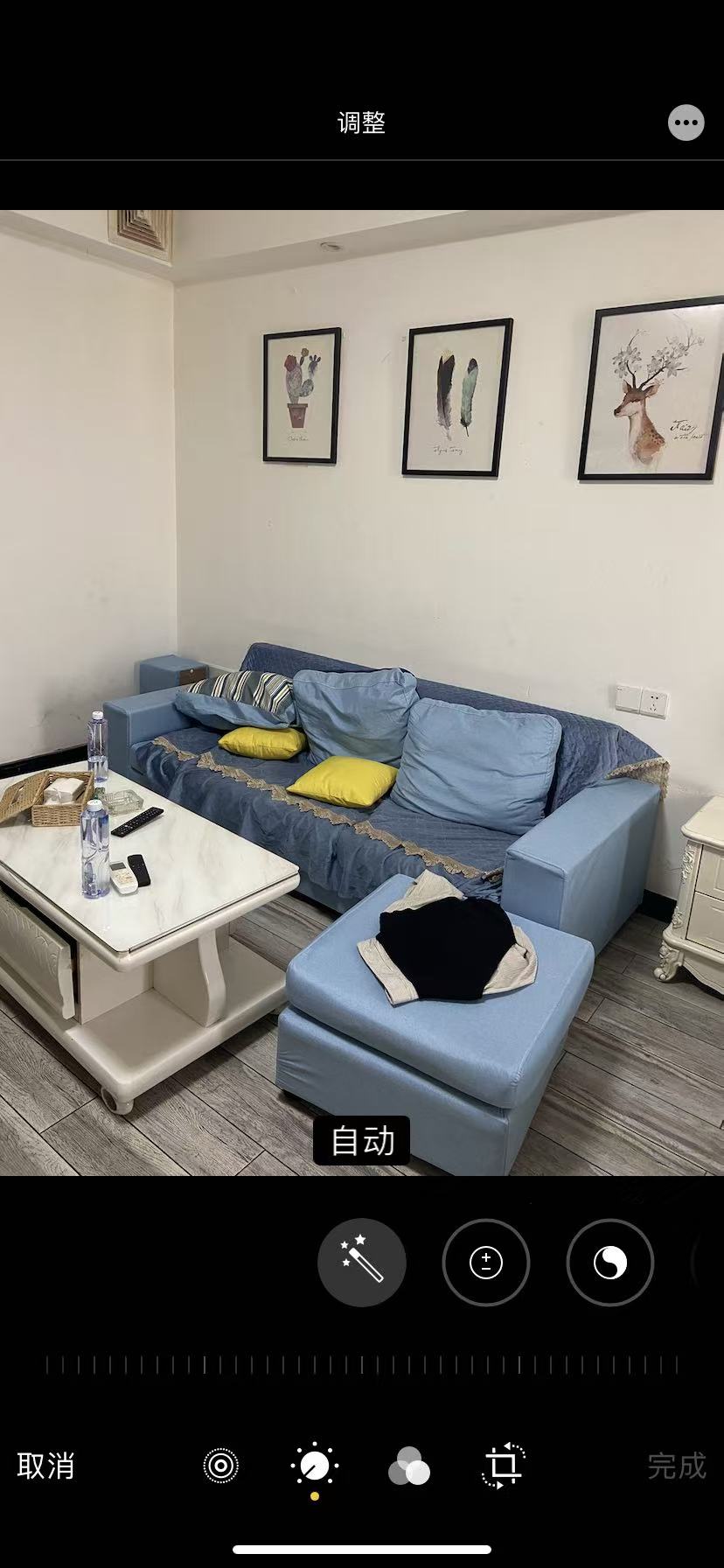 步行街大厦 1室1厅1卫 1300.0元/月 步行街大厦 1室1厅1卫 1300.0元/月户型图