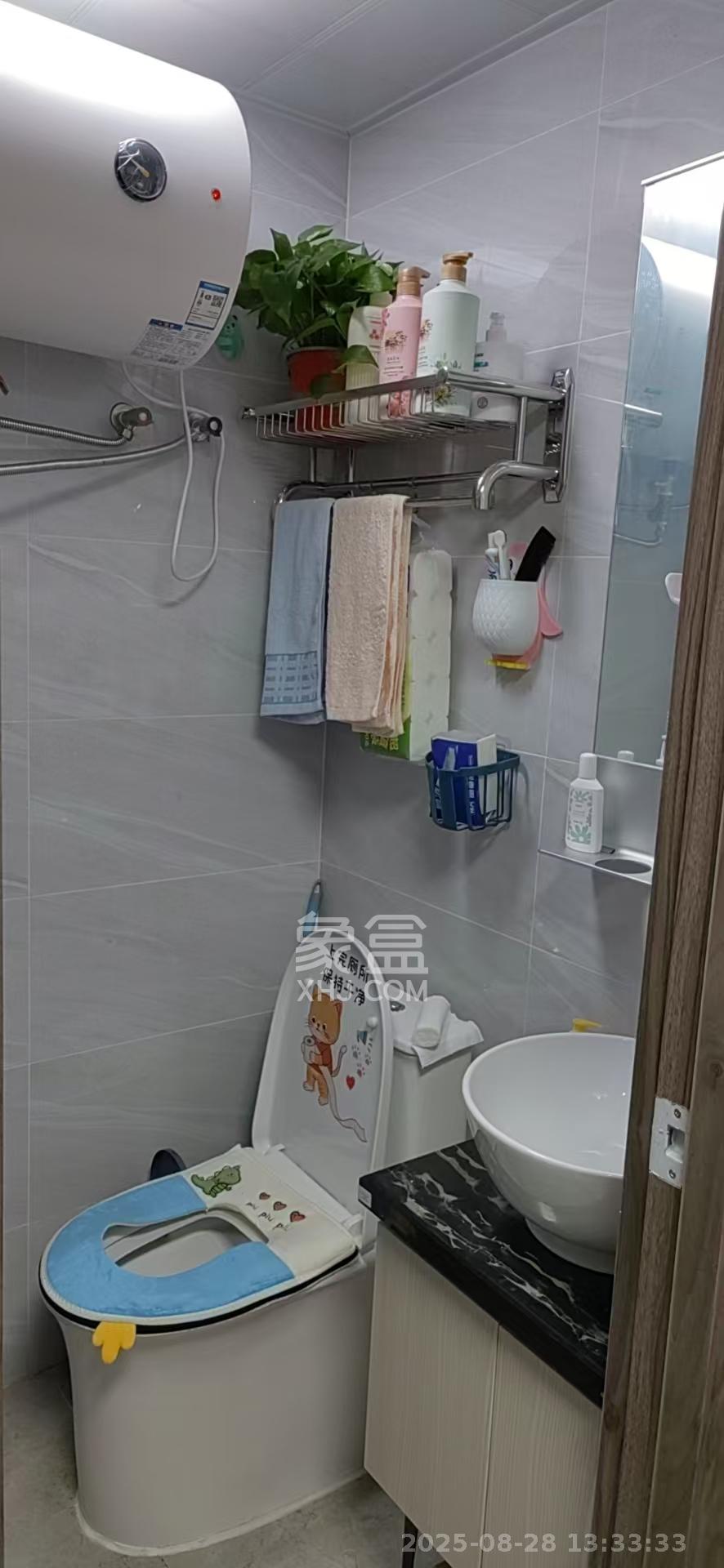 新长海漓湘悦  1室1厅1卫    1300.0元/月 新长海漓湘悦  1室1厅1卫    1300.0元/月室内图