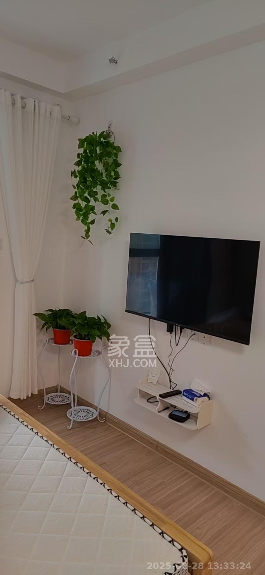 新长海漓湘悦  1室1厅1卫    1300.0元/月 新长海漓湘悦  1室1厅1卫    1300.0元/月室内图