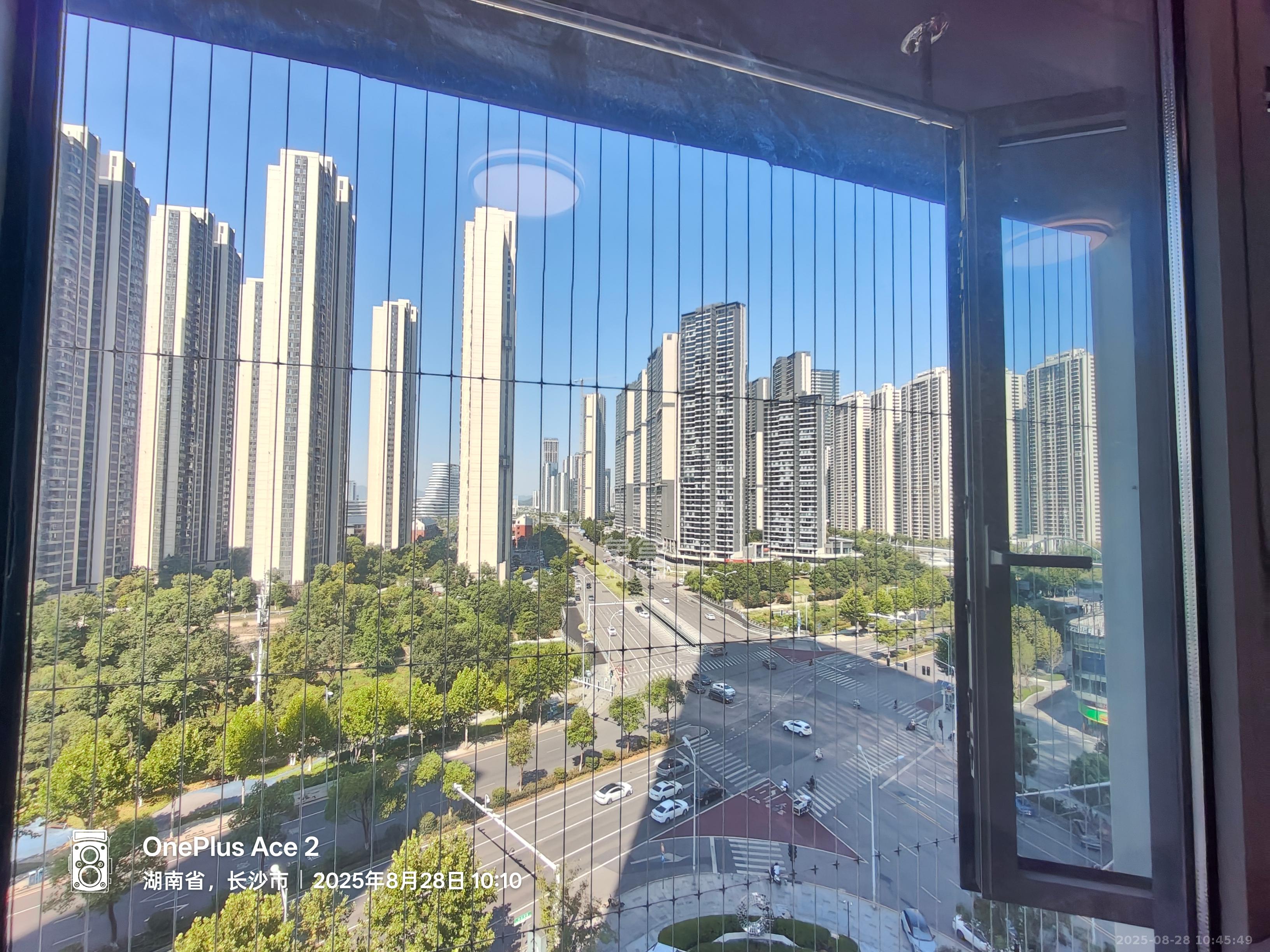 梅溪湖金茂湾  1室1厅1卫    1800.0元/月室内图