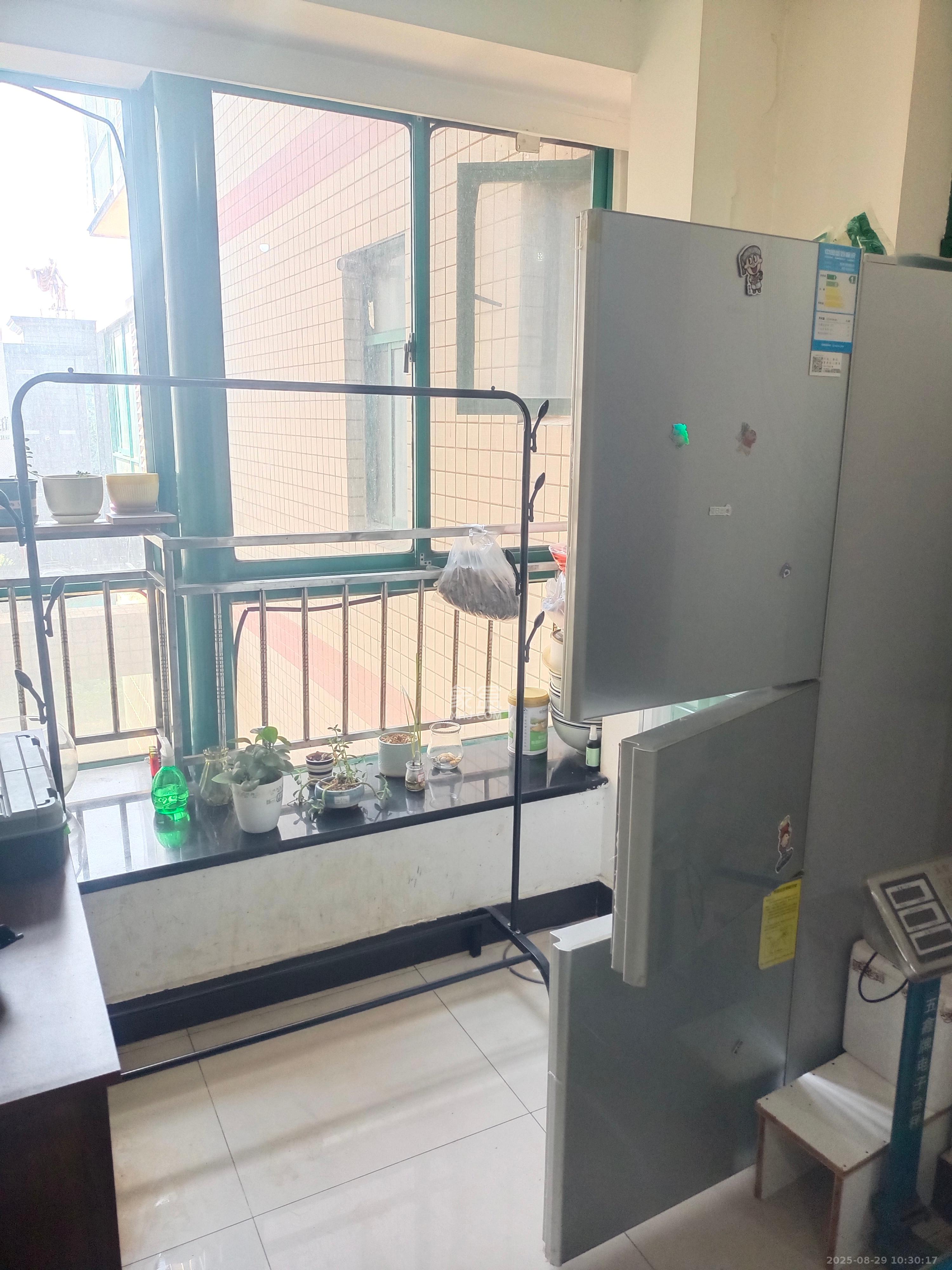 明城公寓 3室2厅1卫 2000.0元/月 明城公寓 3室2厅1卫 2000.0元/月室内图