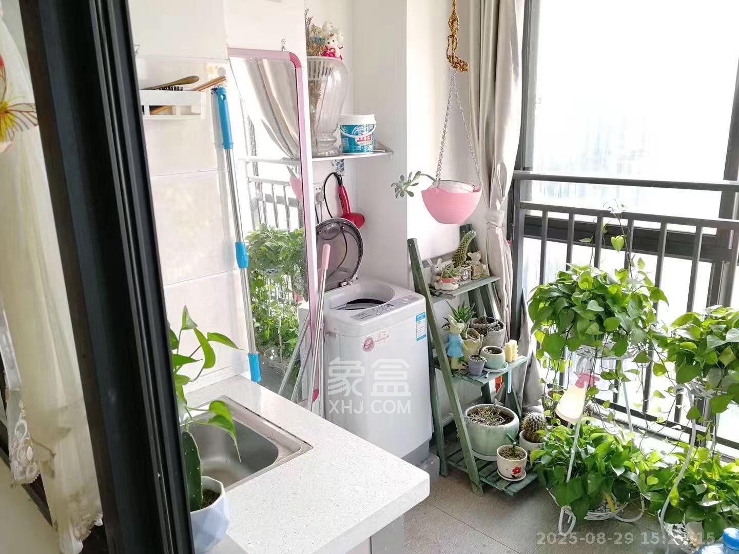 建安像素汇  1室1厅1卫   1800.00元/月室内图