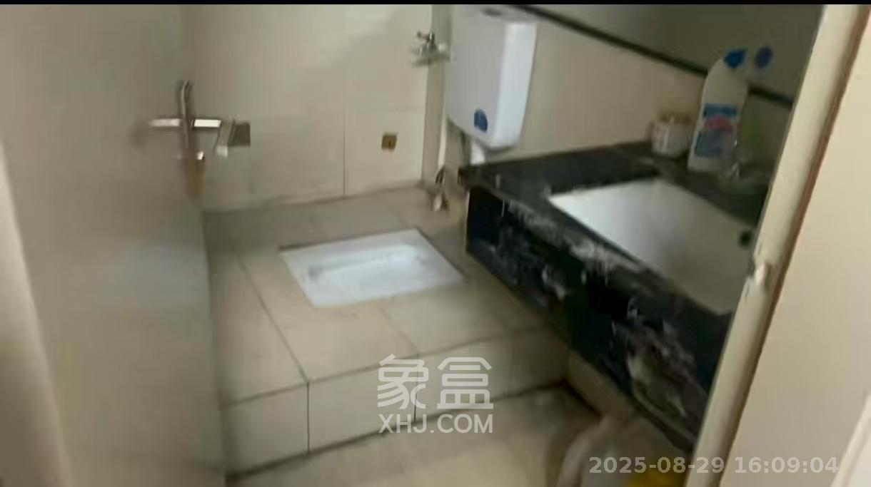 德思勤城市广场（宝格丽公寓）  5室1厅1卫   5000.00元/月
