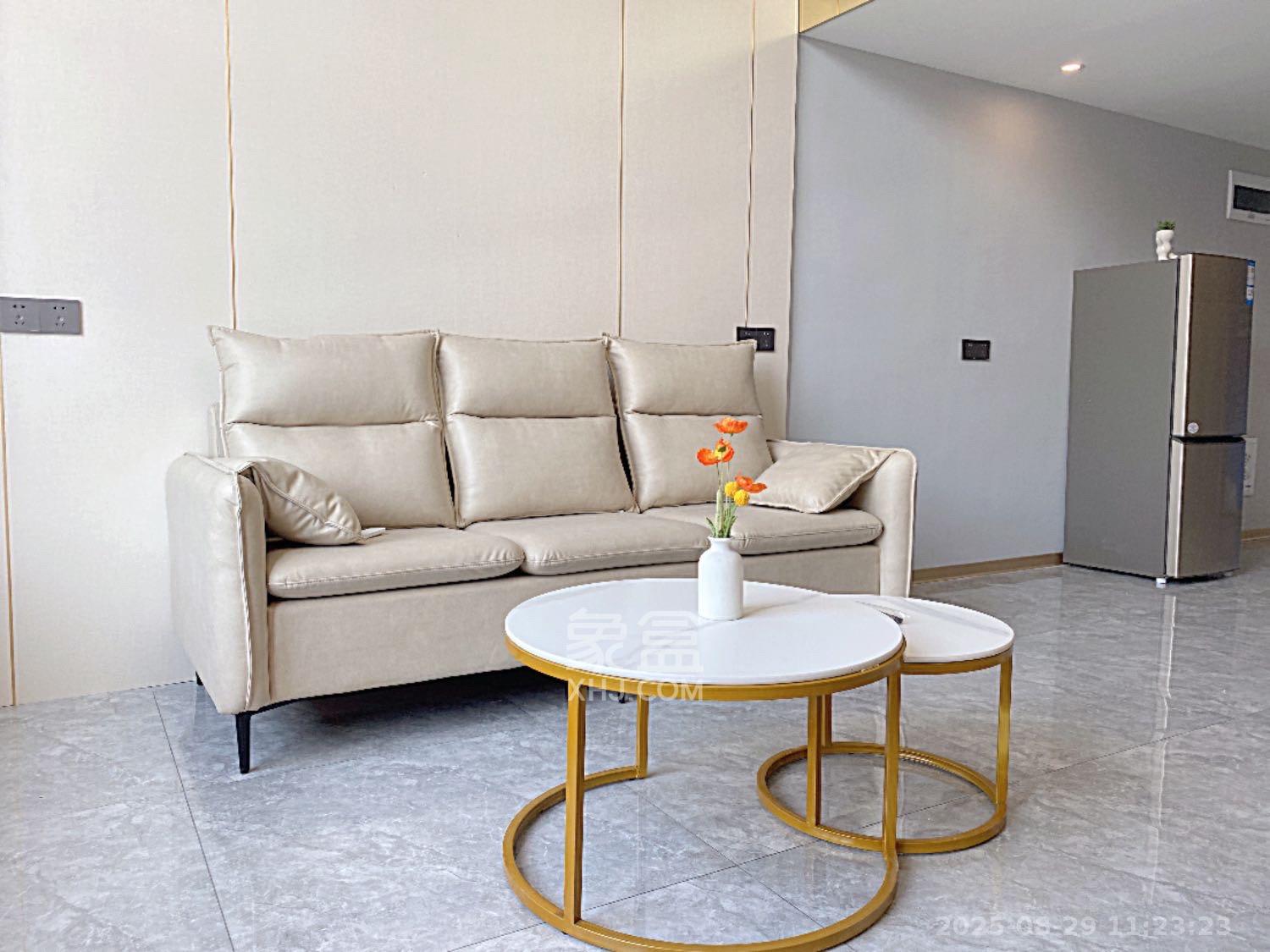 龙湖新壹城  1室1厅1卫    2500.0元/月室内图