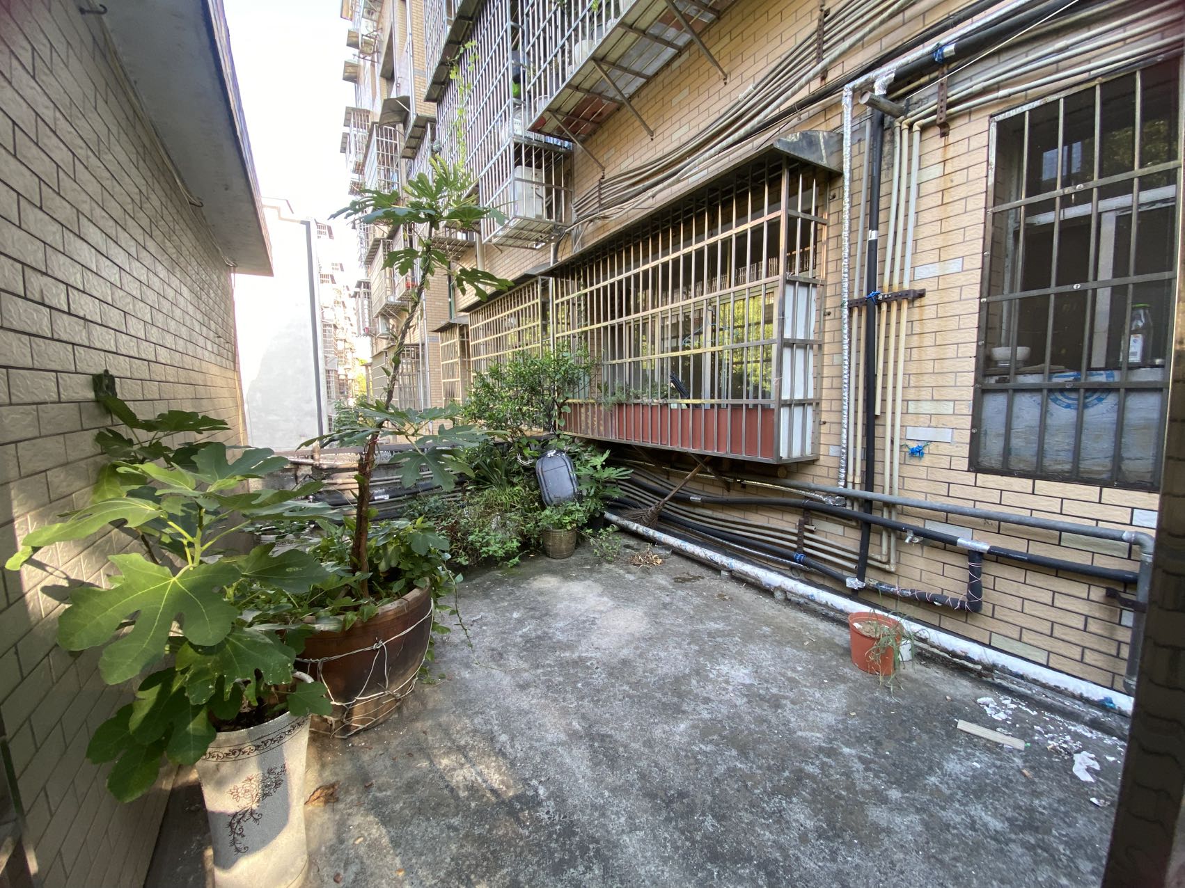 大码头街道鹅洋池居委会 2室2厅2卫 33.8万 大码头街道鹅洋池居委会 2室2厅2卫 33.8万室内图