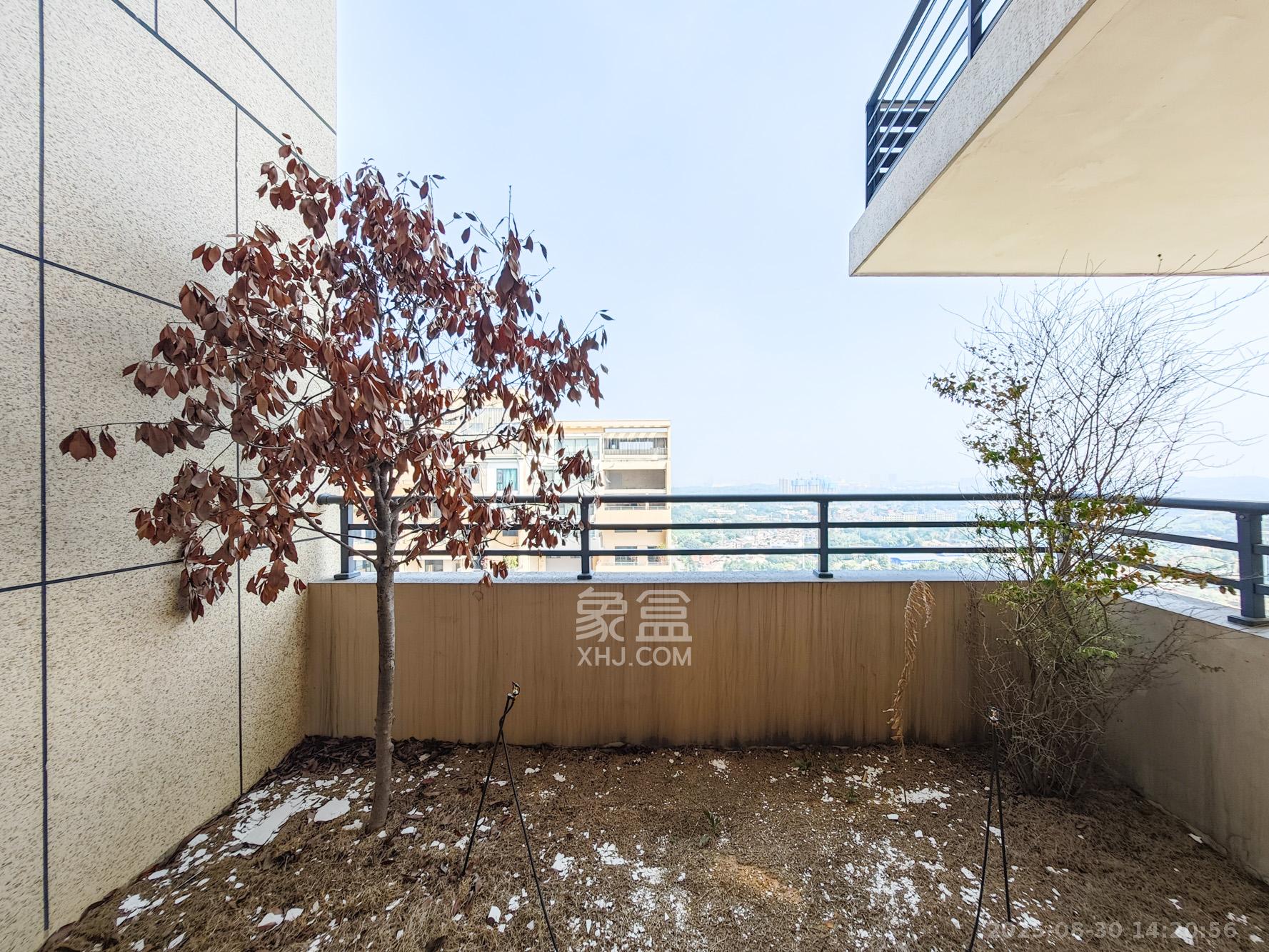 上置绿洲雅宾利 4室2厅2卫 135.0万 上置绿洲雅宾利 4室2厅2卫 135.0万其他