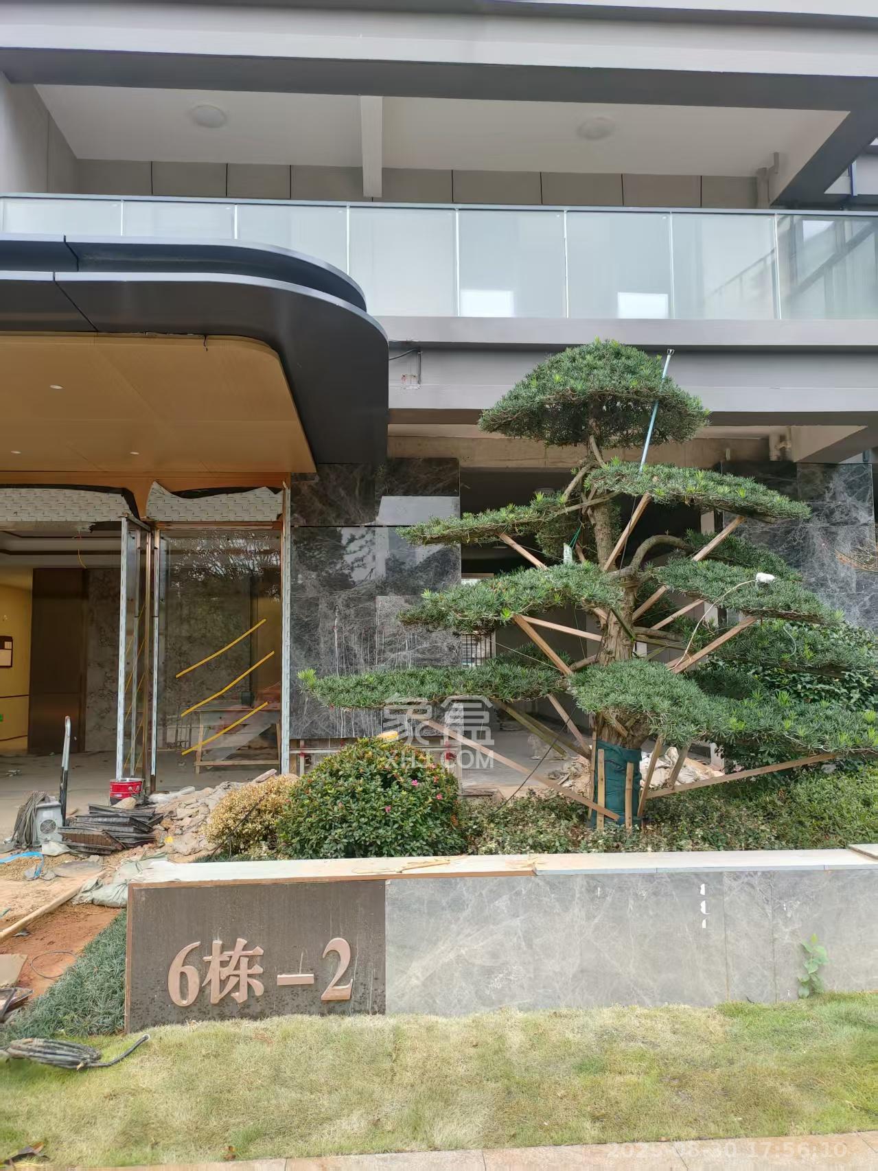 江山印  4室2厅3卫    13000.0元/月小区图