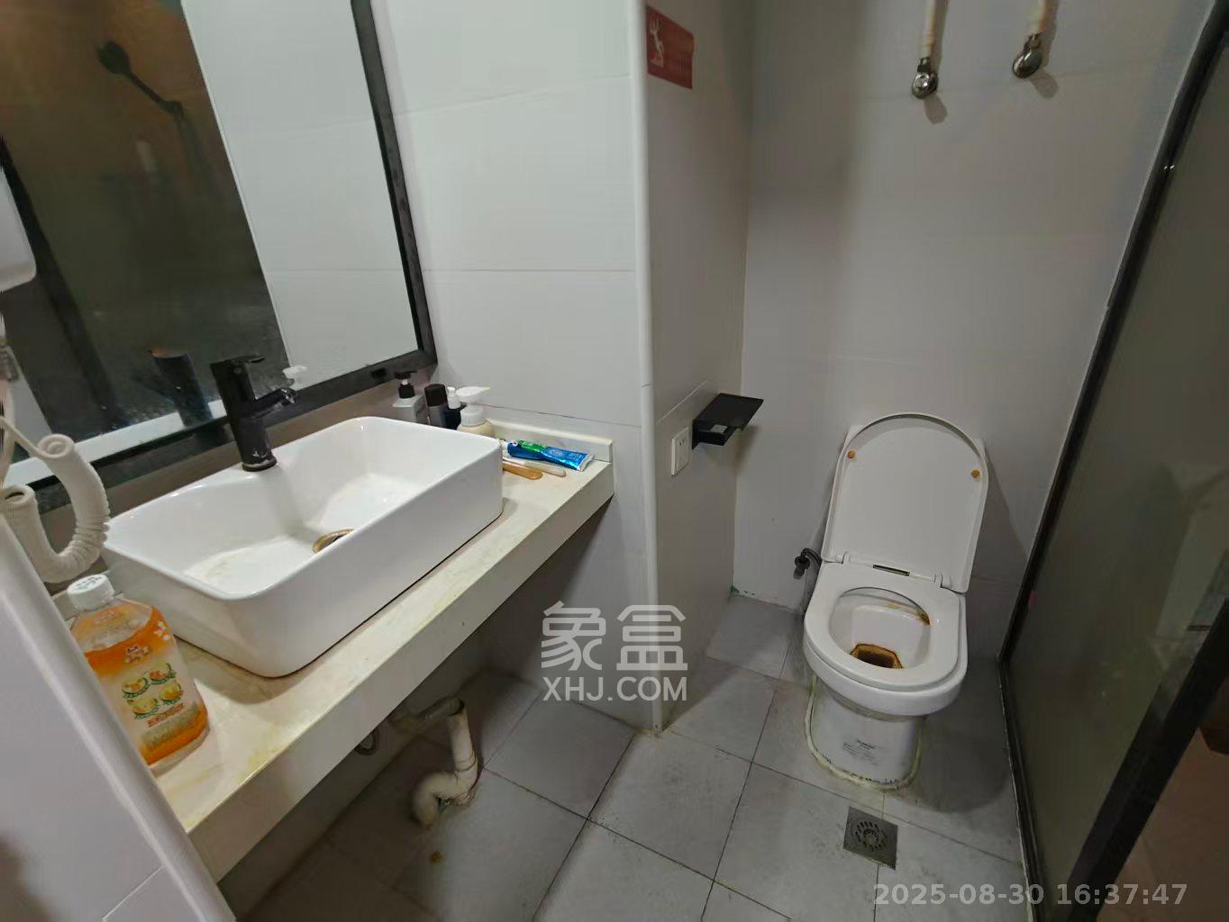 梅溪国际公寓（步步高新天地）  1室1厅1卫   1600.00元/月室内图